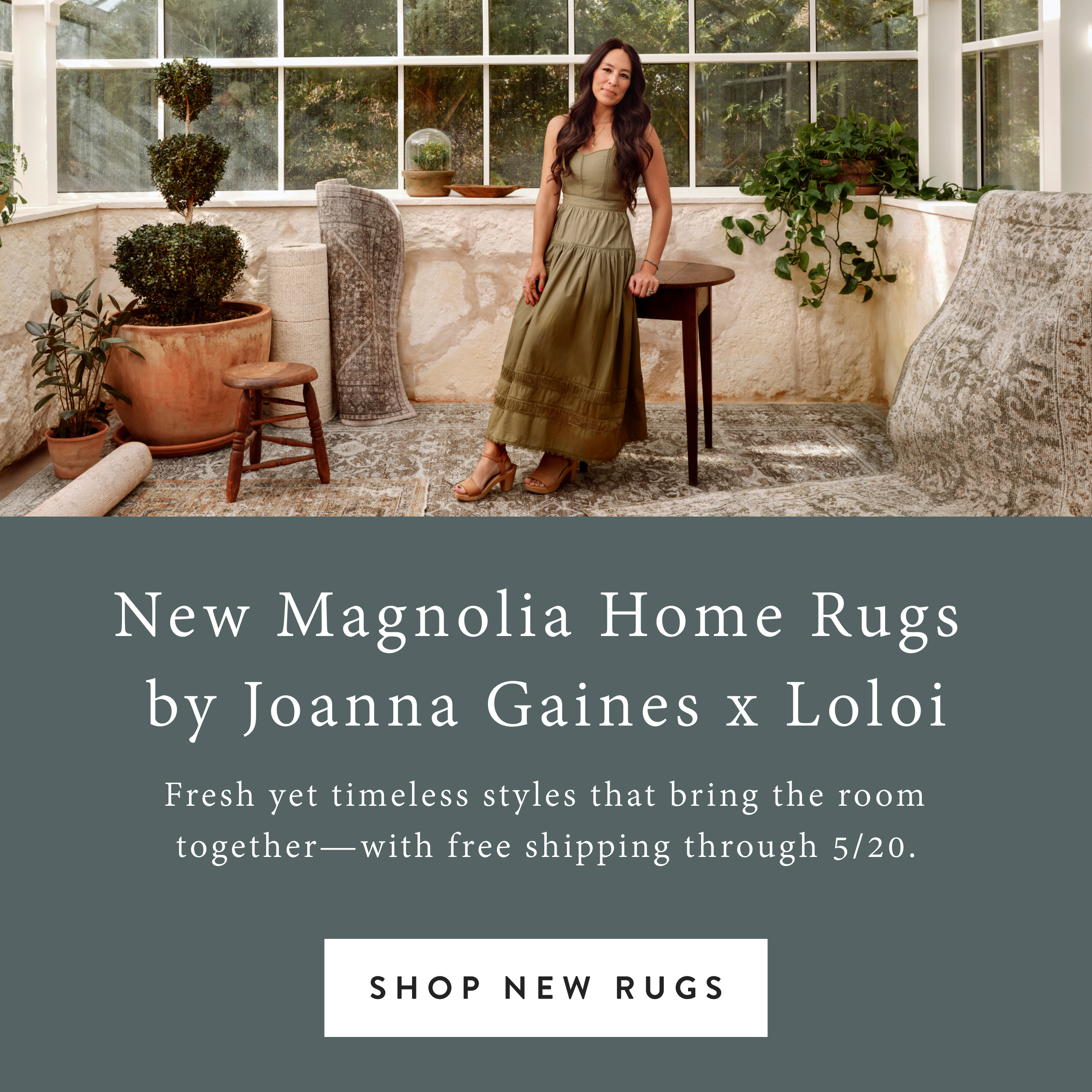 Shop New Rugs