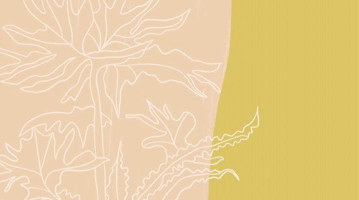 MAGNOLIA image