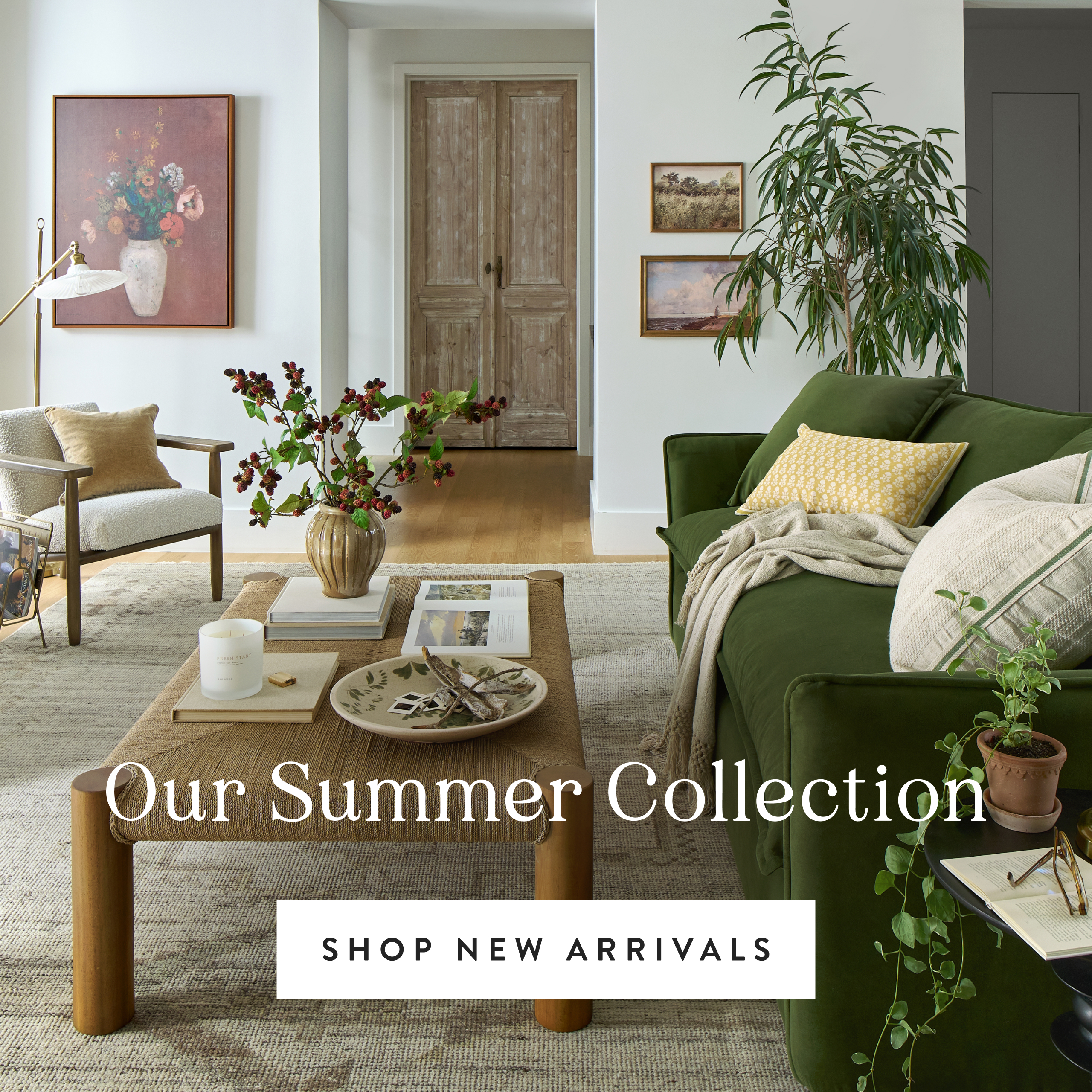 Shop New Arrivals
