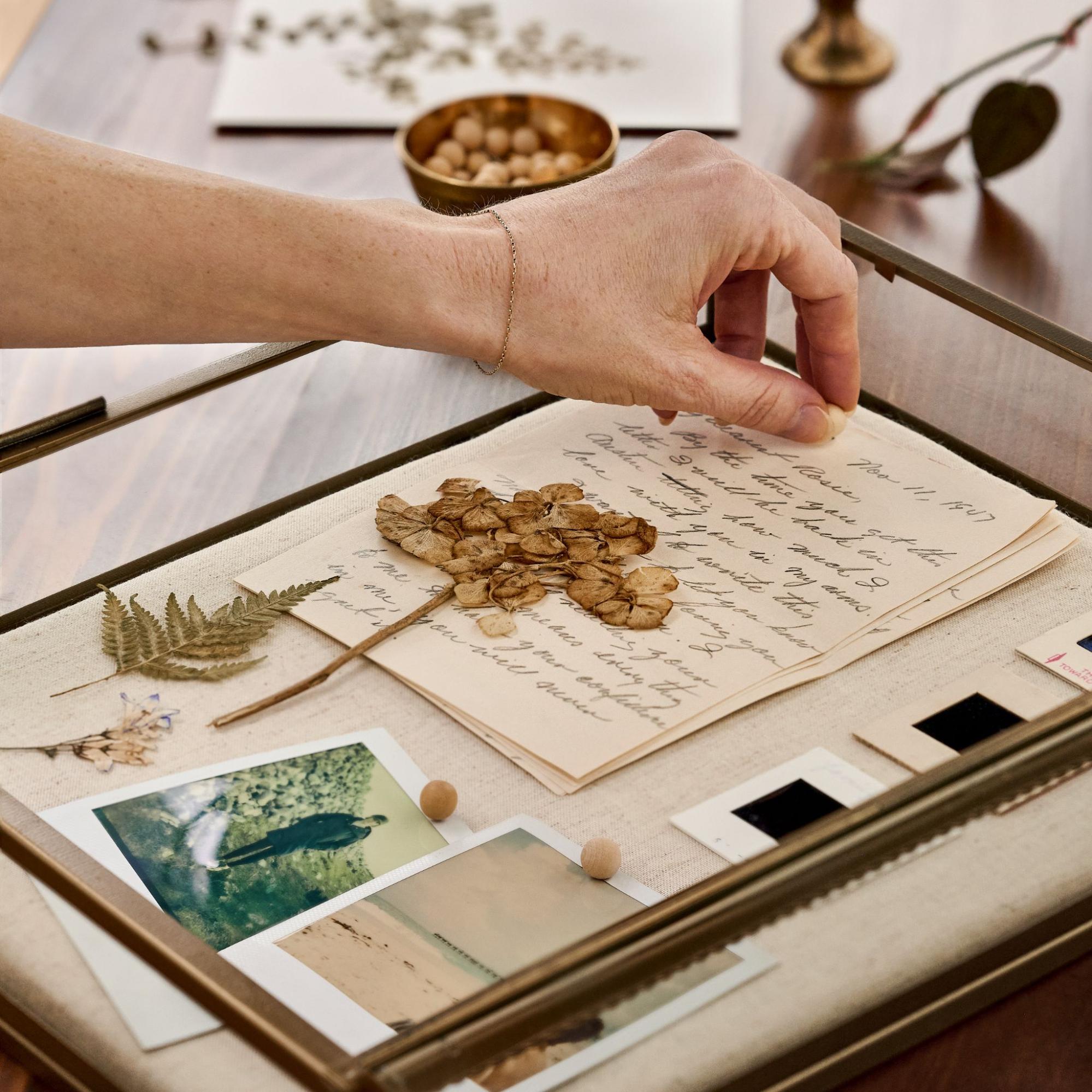 Someone filling a display case with meaningful mementos, like photographs, dried florals, and notes. 