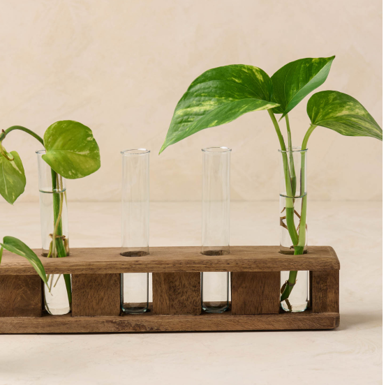 propagation
