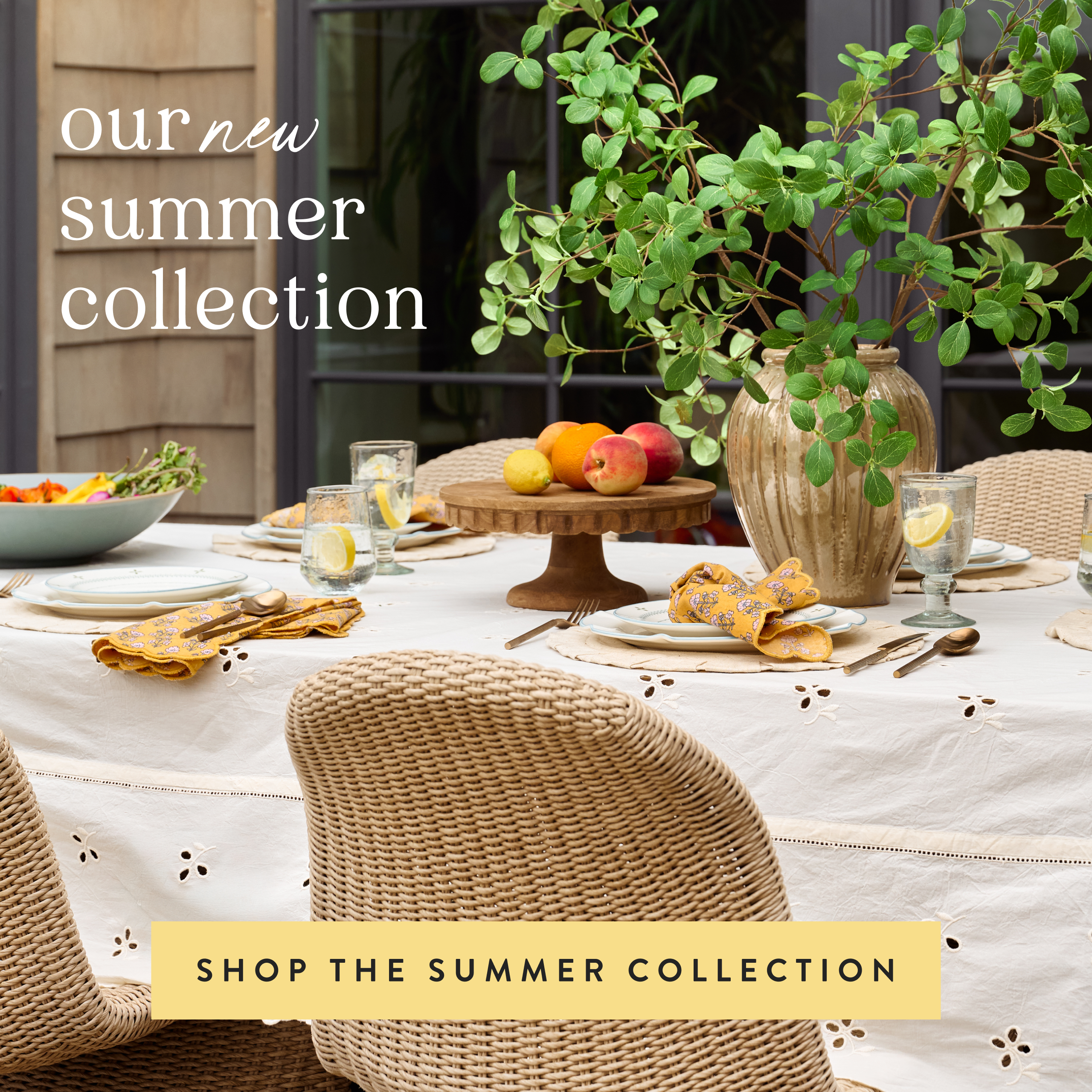 SHop the Summer Collection