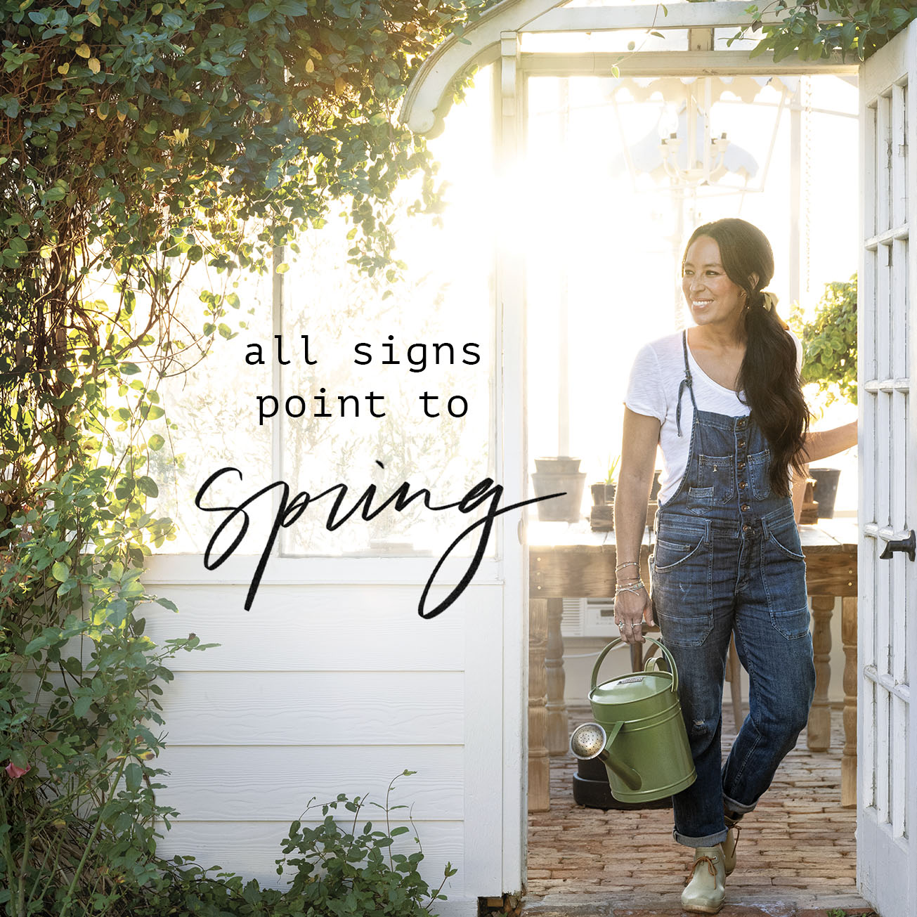 spring LP mobile