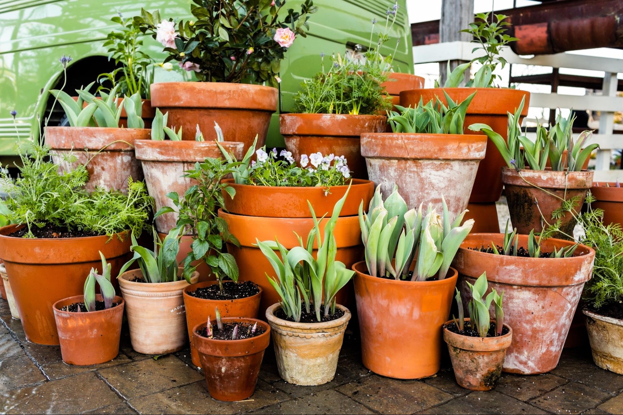 Tiers of potted plants in front of a green van.