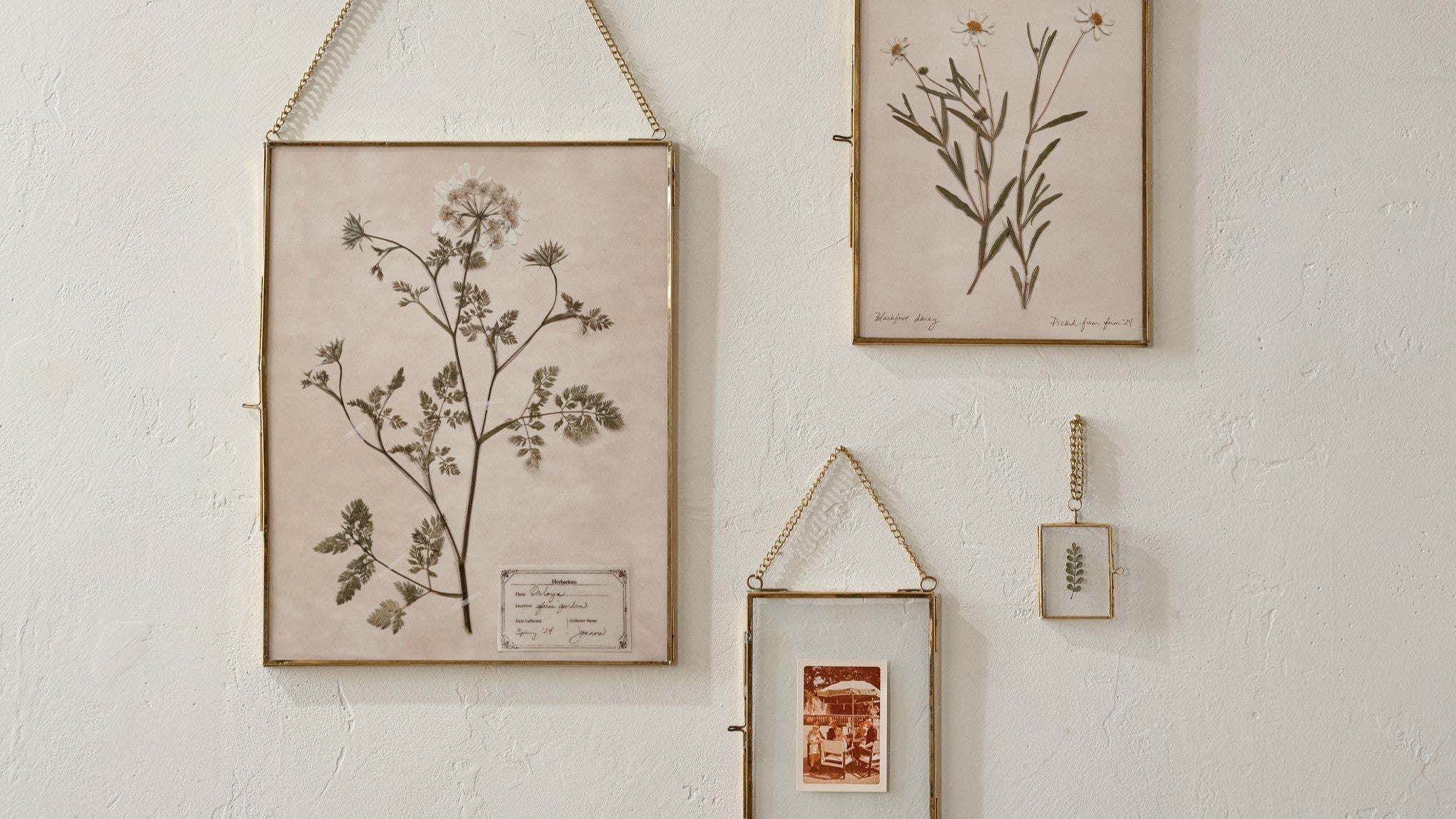 Shop New Wall Decor and Mirrors