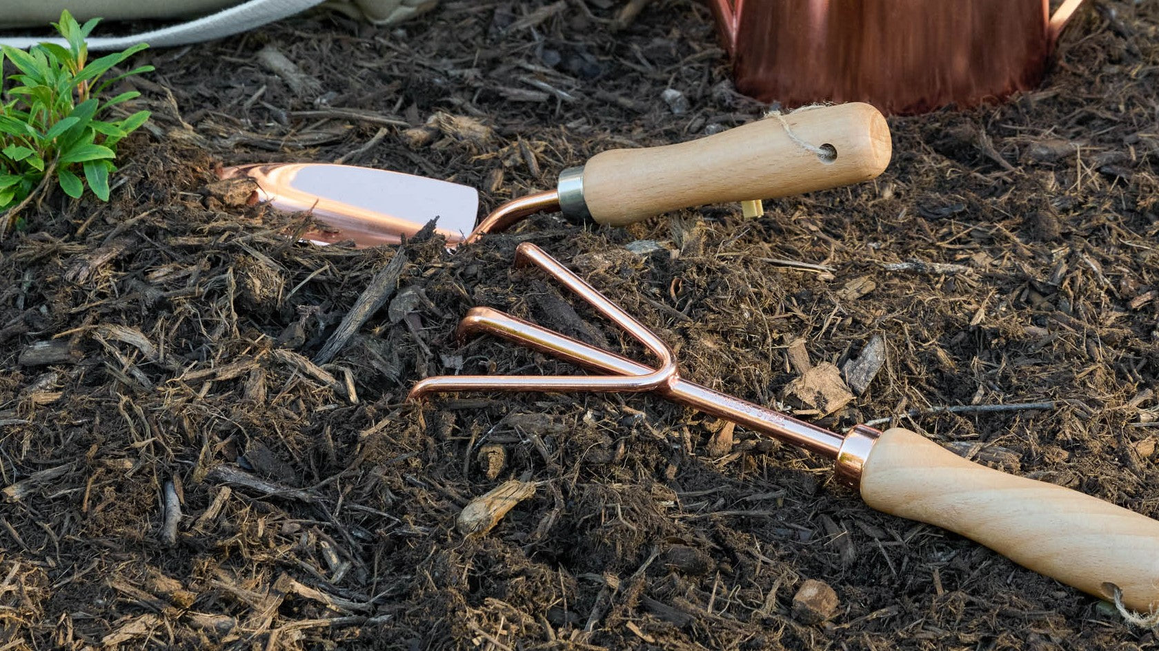 Garden Markdowns
