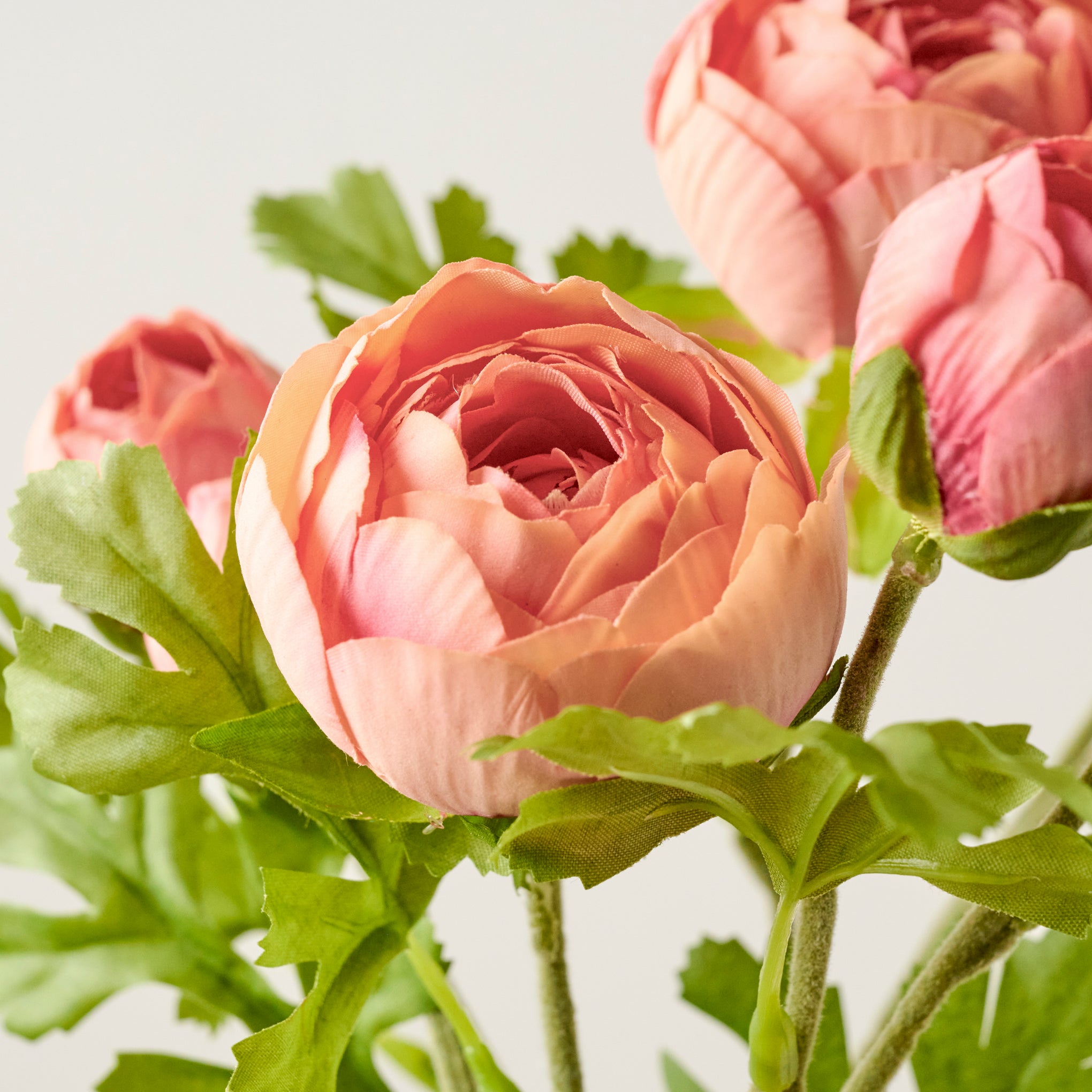 Coral Real Touch Ranunculus Stem up close