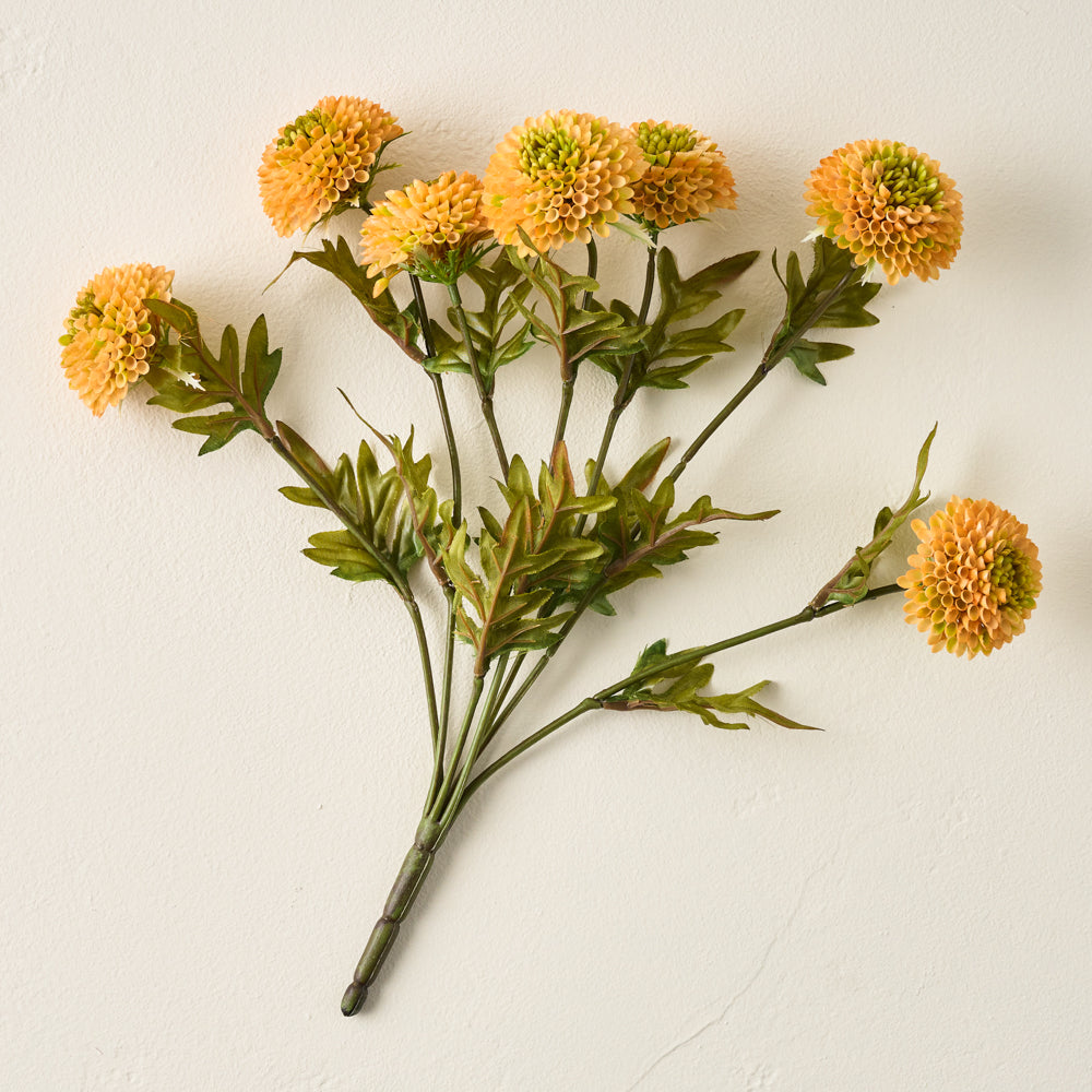 Yellow Zinnia Bundle $24.00