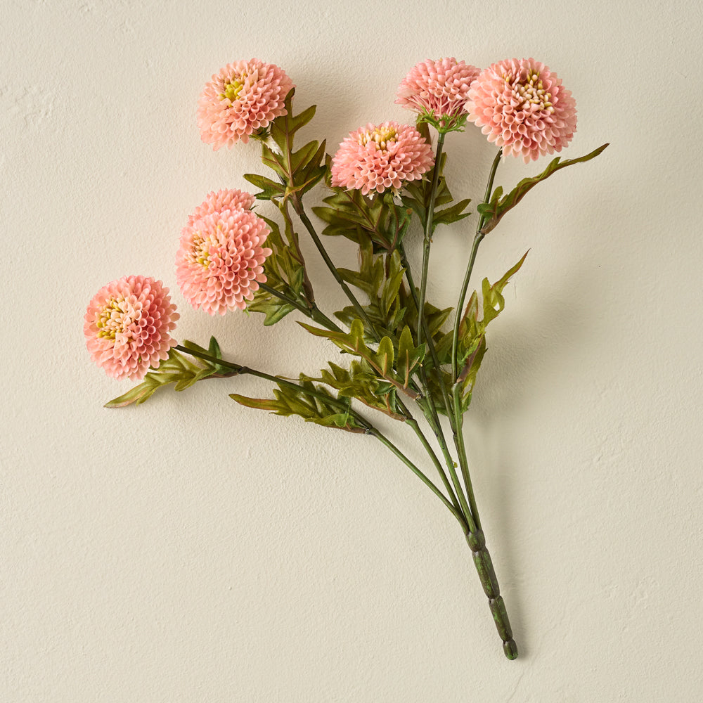 Pink Zinnia Bundle $24.00