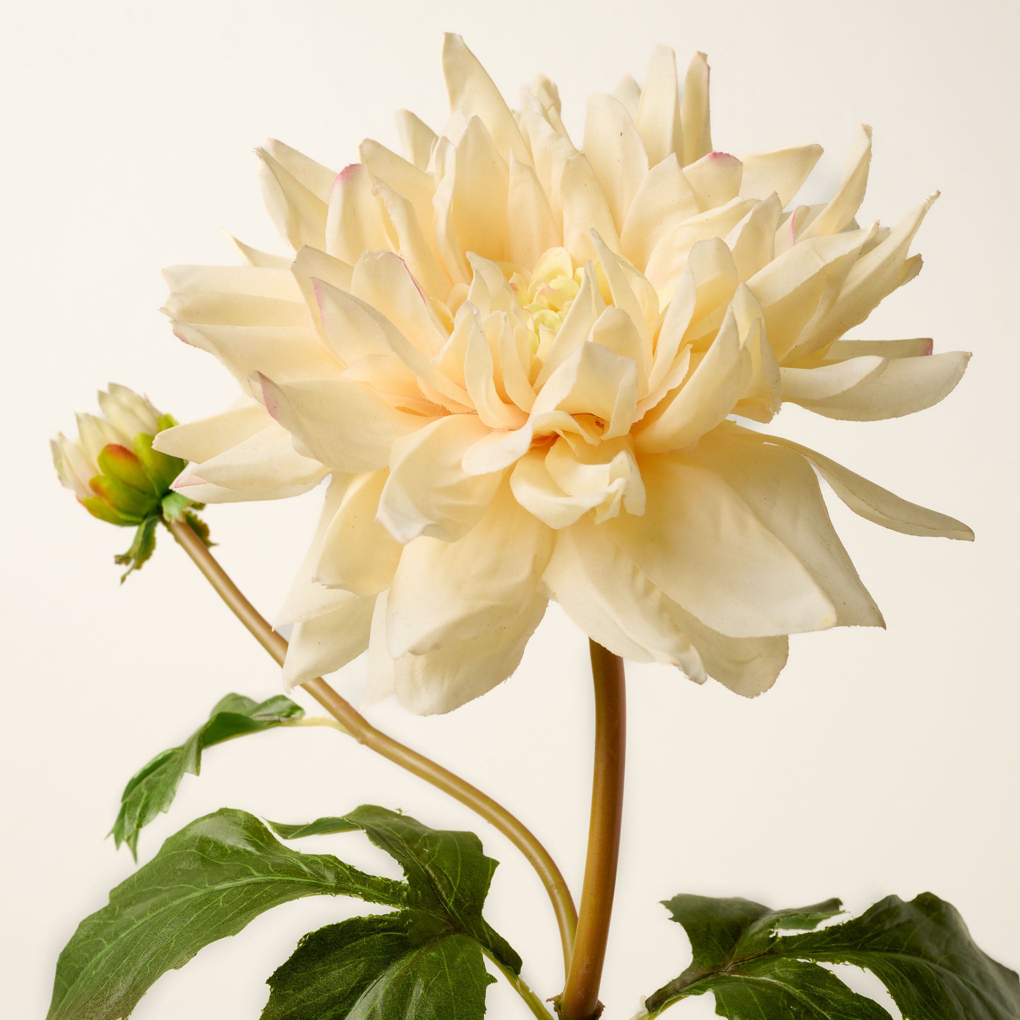 Real Touch Oversized Dahlia Stem in cream close up