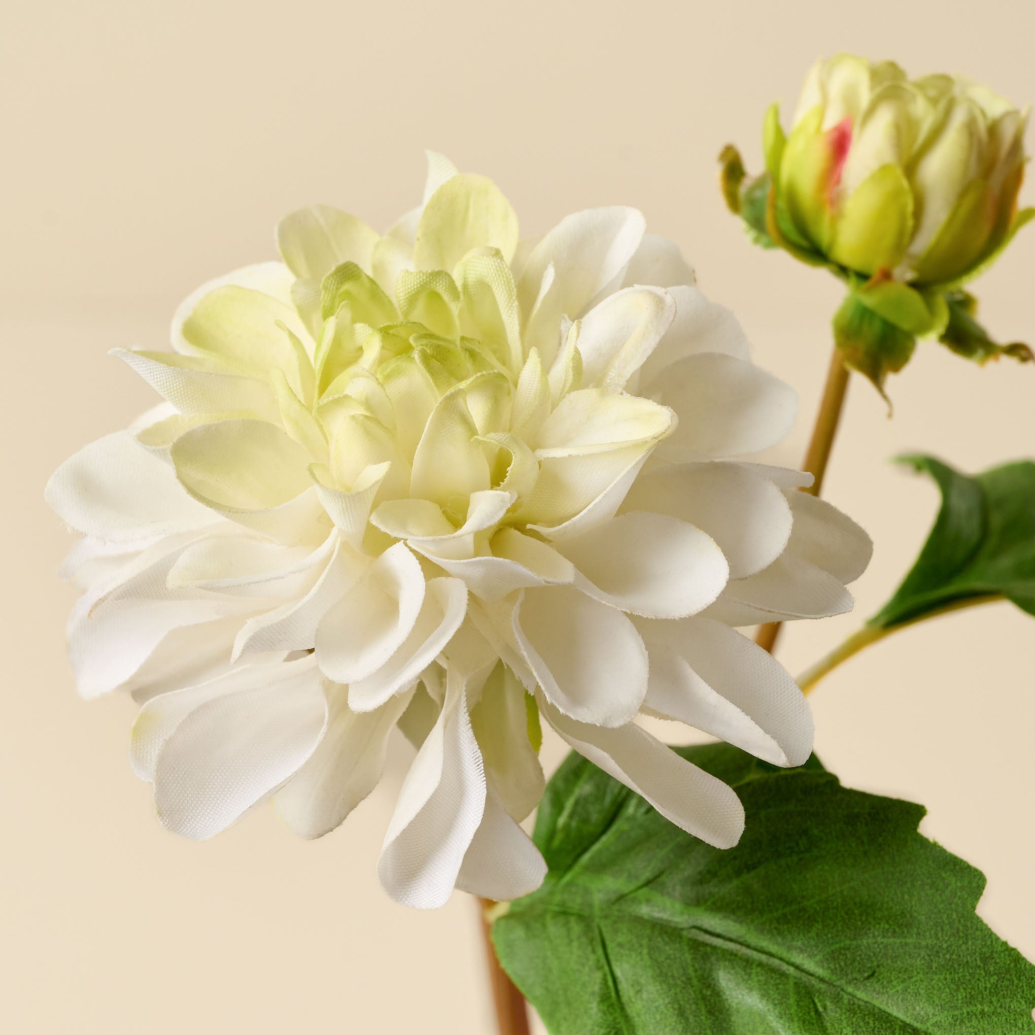 Real Touch Mini Dahlia Stem white close up On sale for $16.00, discounted from $16.00 to $20.00