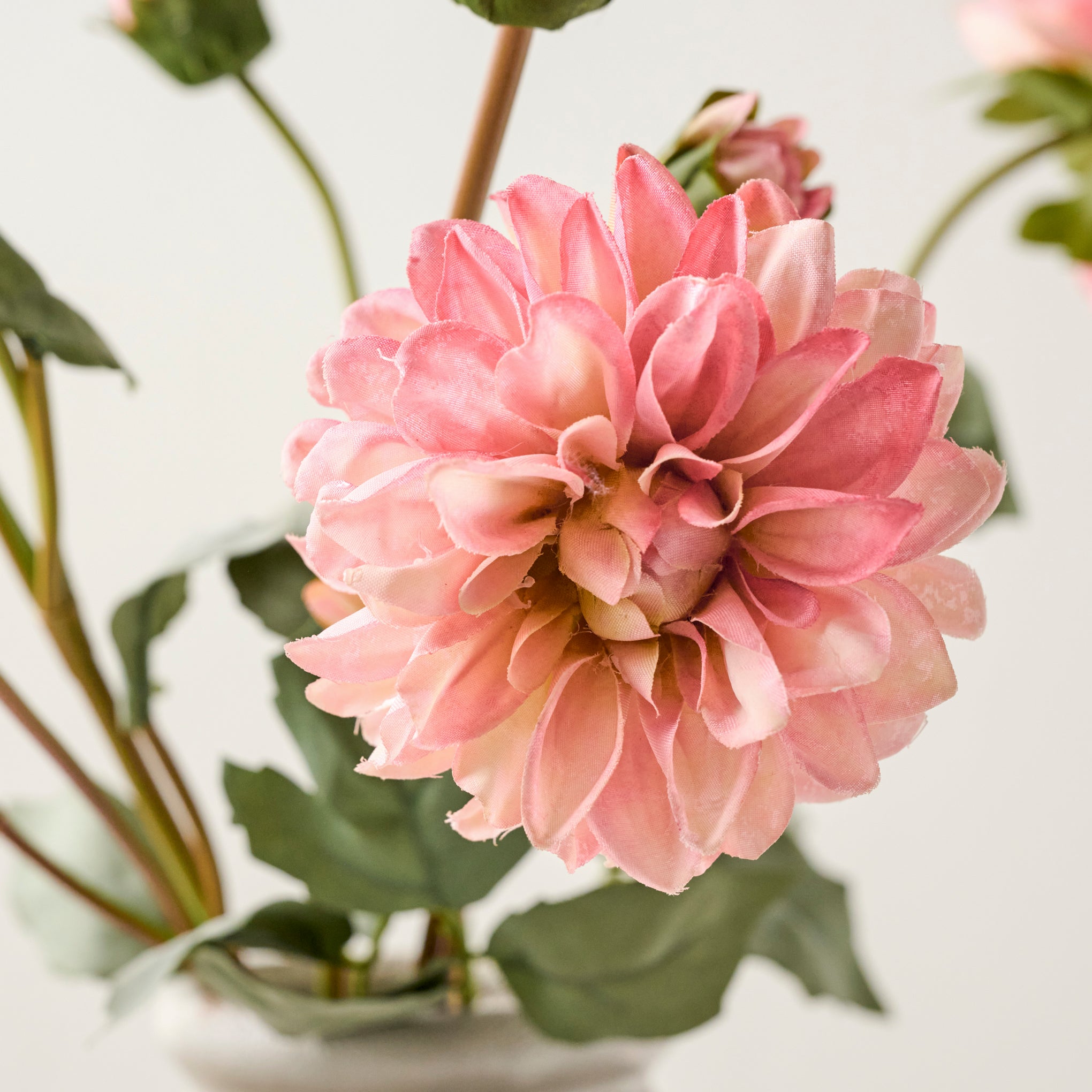 Pink Dahlia Bloom Bundle $28.00