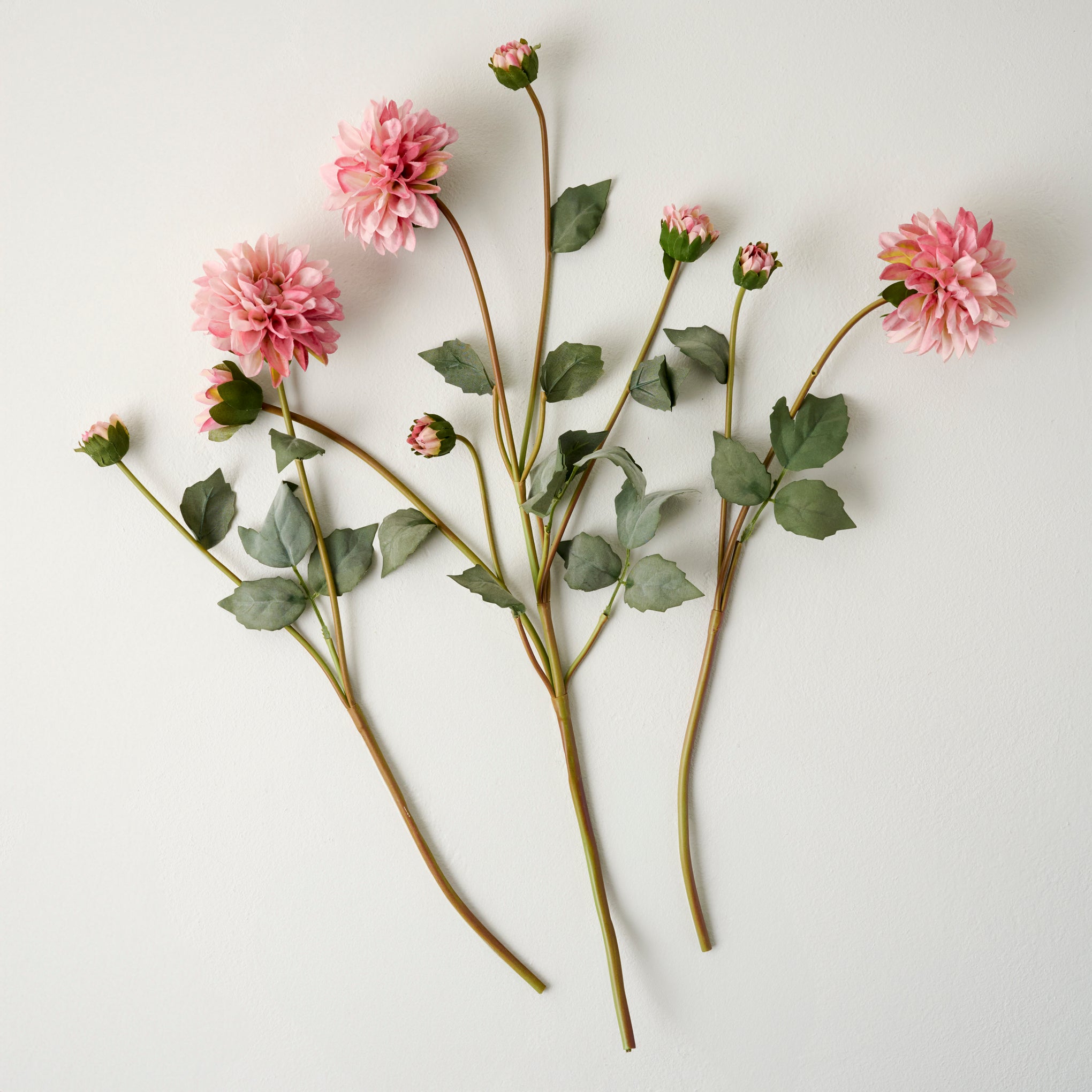 Pink Dahlia Bloom Bundle