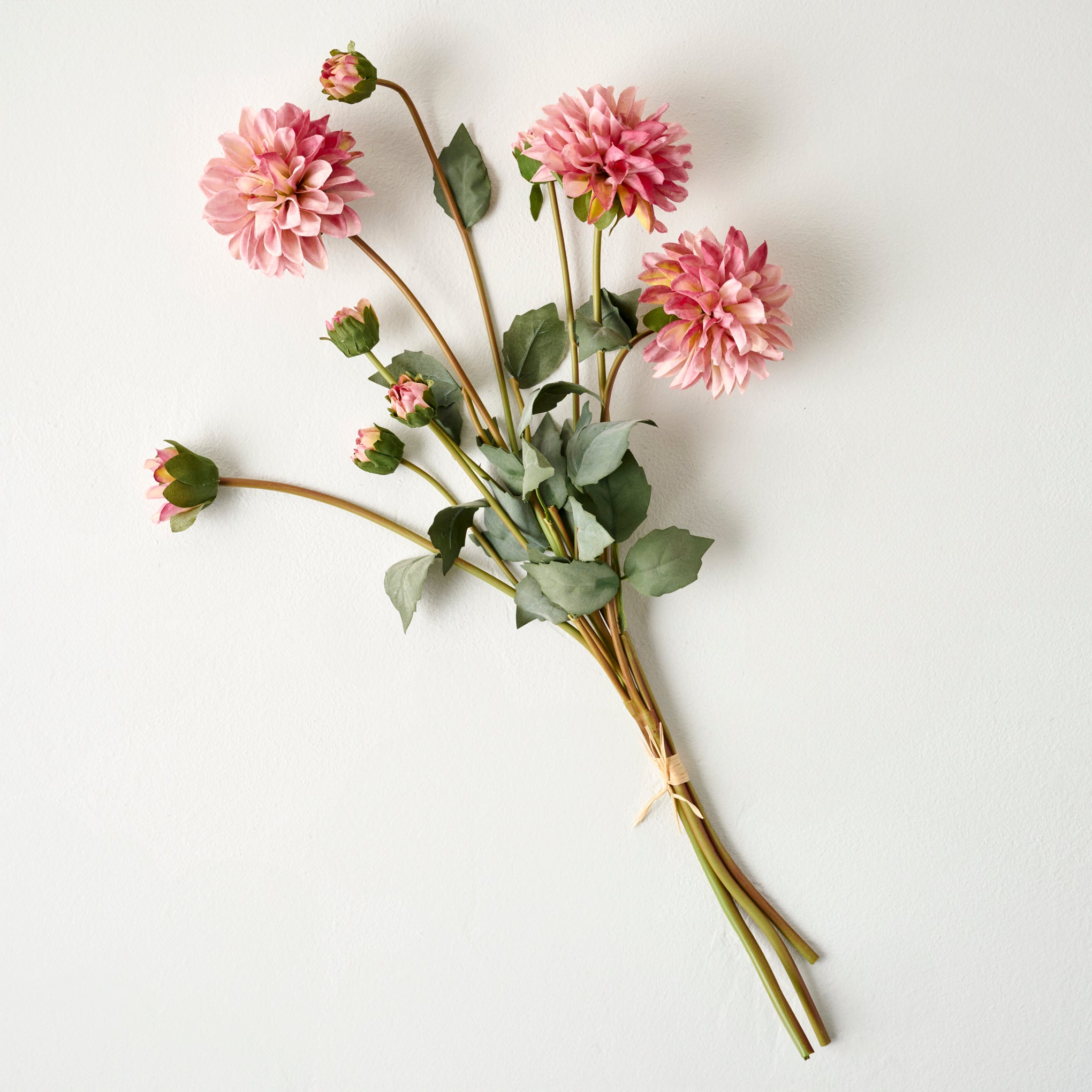Pink Dahlia Bloom Bundle $28.00