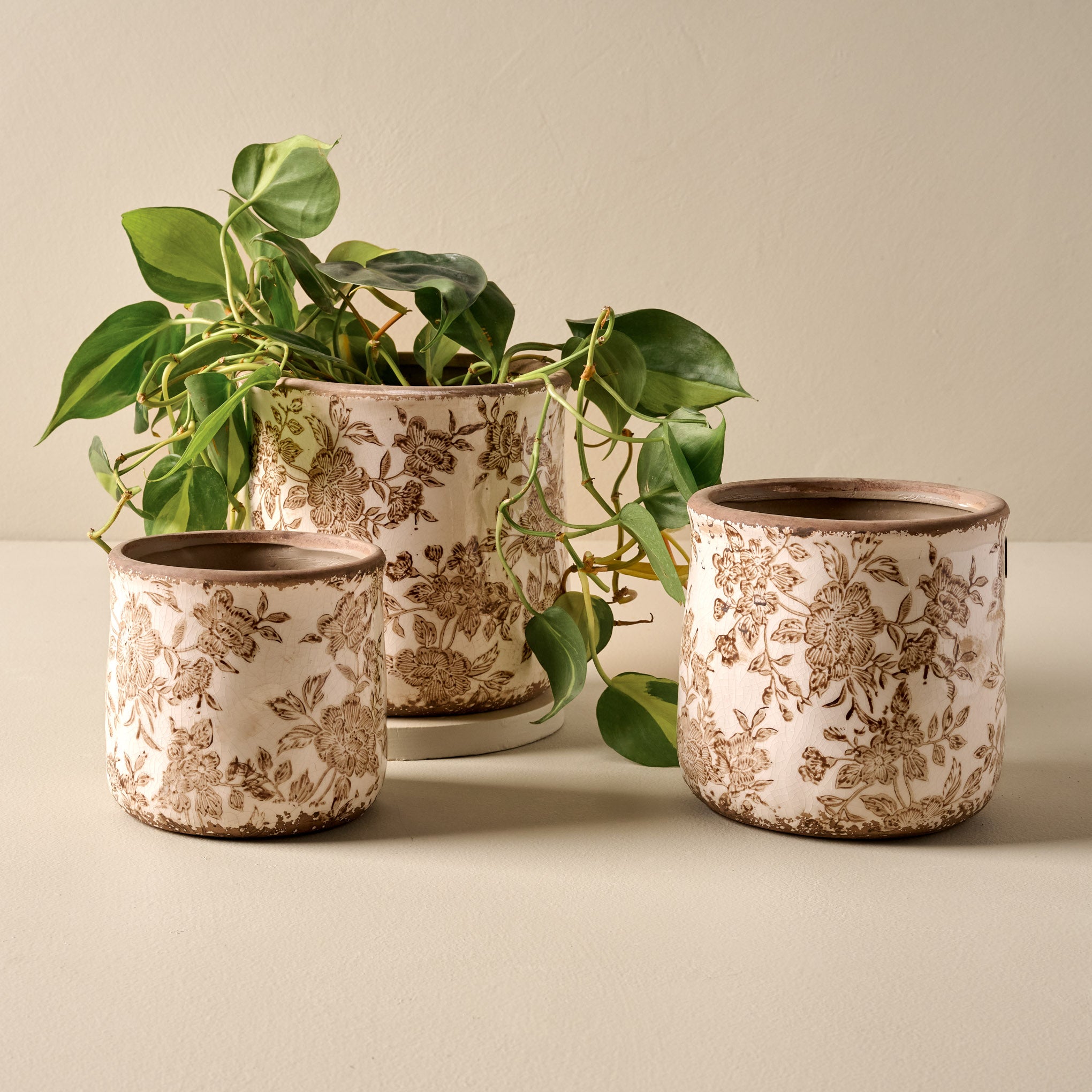 Small, Medium, and Large Brown and White Distressed Planters shown with plant Items range from $12.00 to $32.00