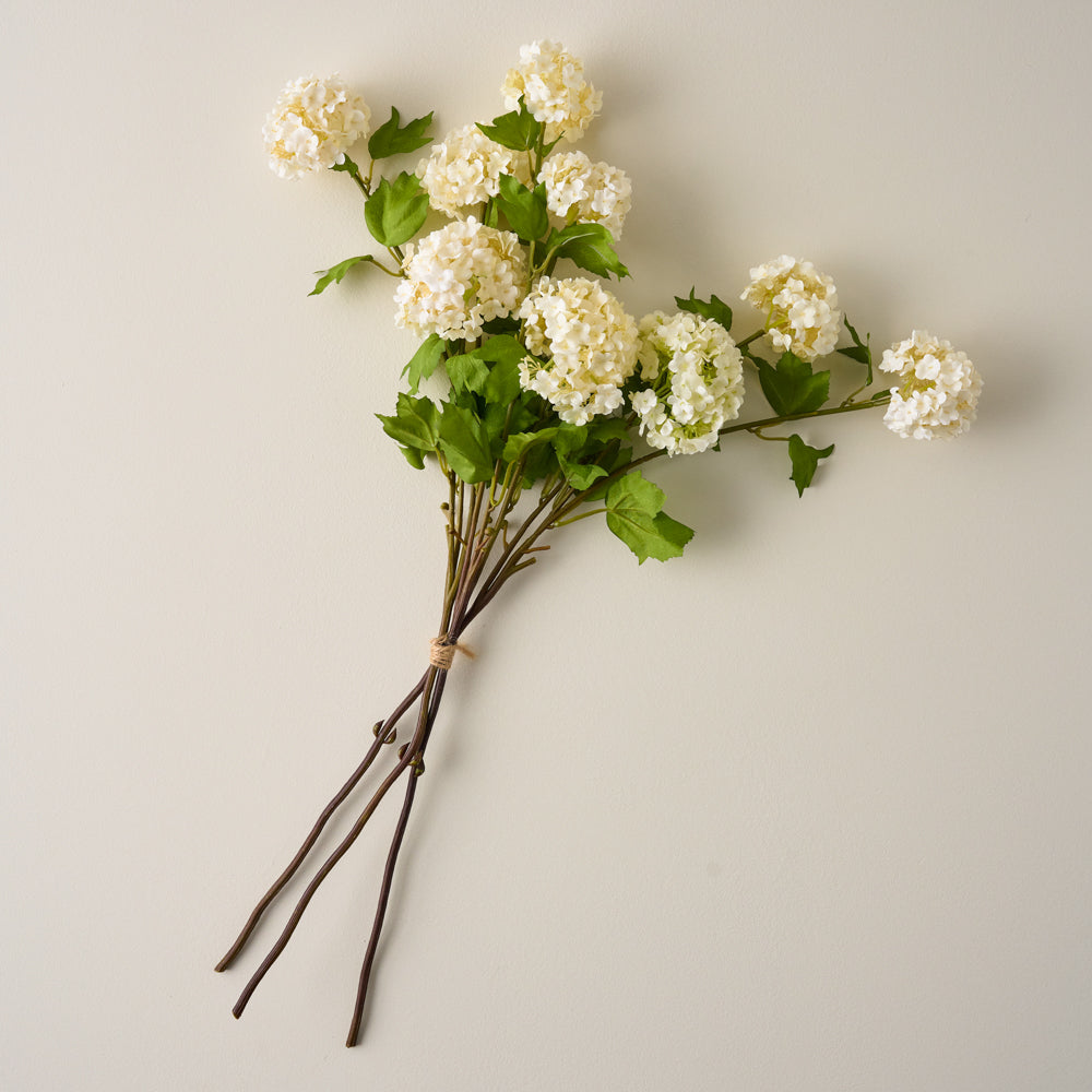 Snowball Hydrangea Bundle $34.00