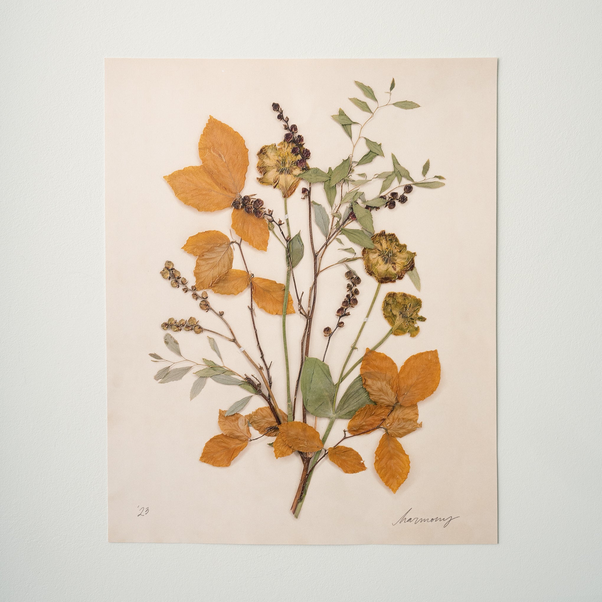 Jo's Hand Pressed Herbarium Prints - Harmony '23 $38.00