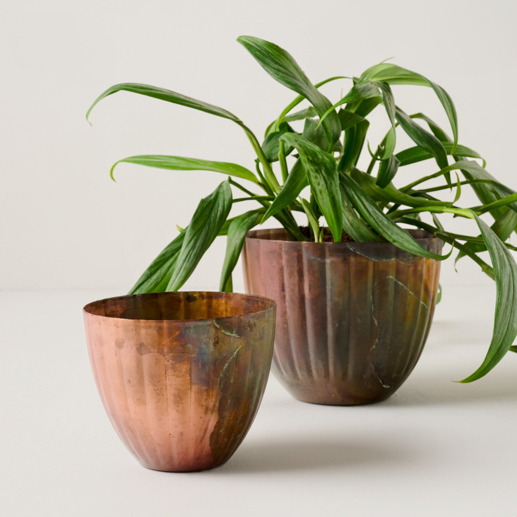 Aged Copper Planters Items range from $16.00 to $22.00