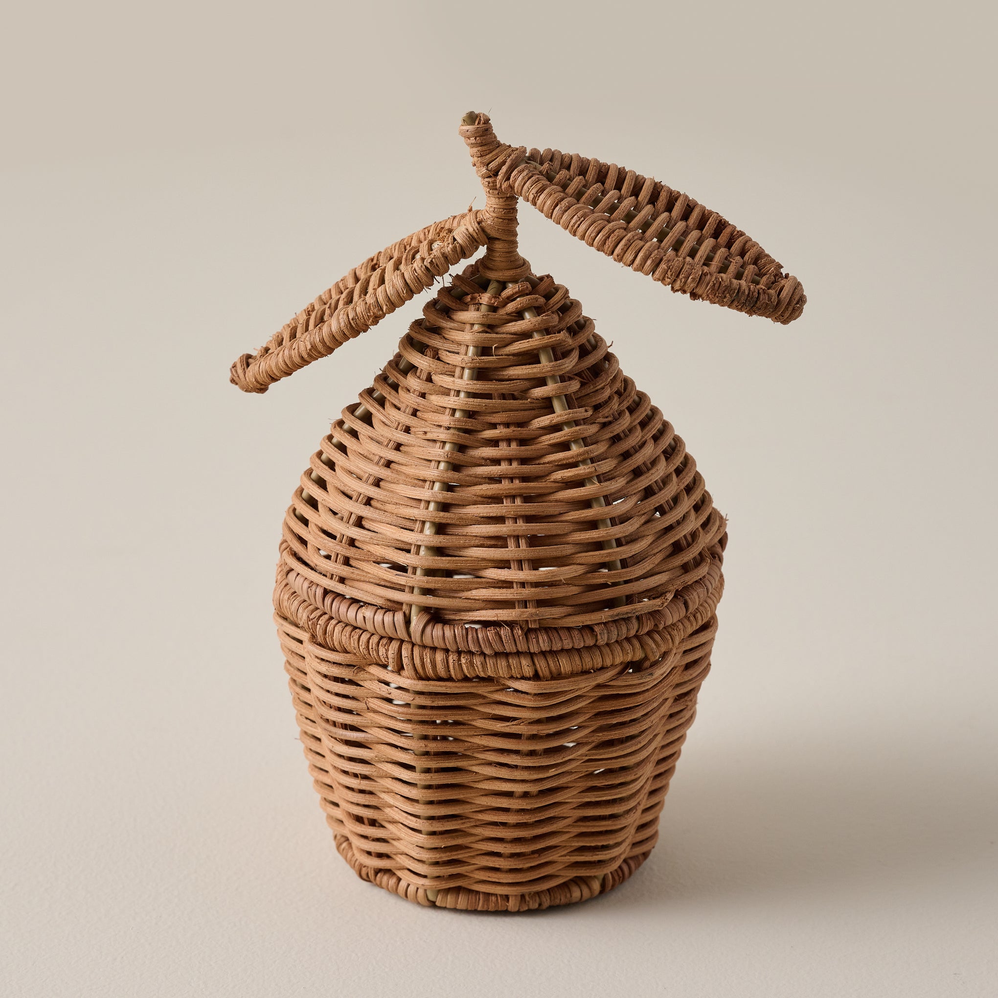 Woven Lemon Canister $28.00