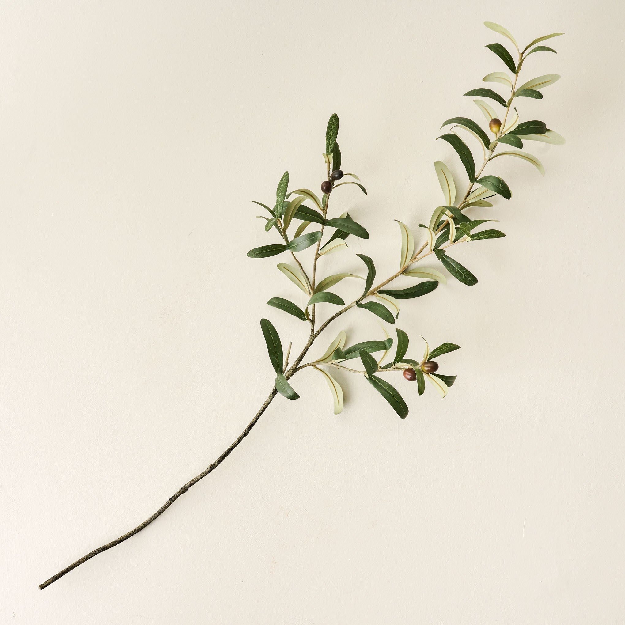 Olive Leaf Stem $14.00