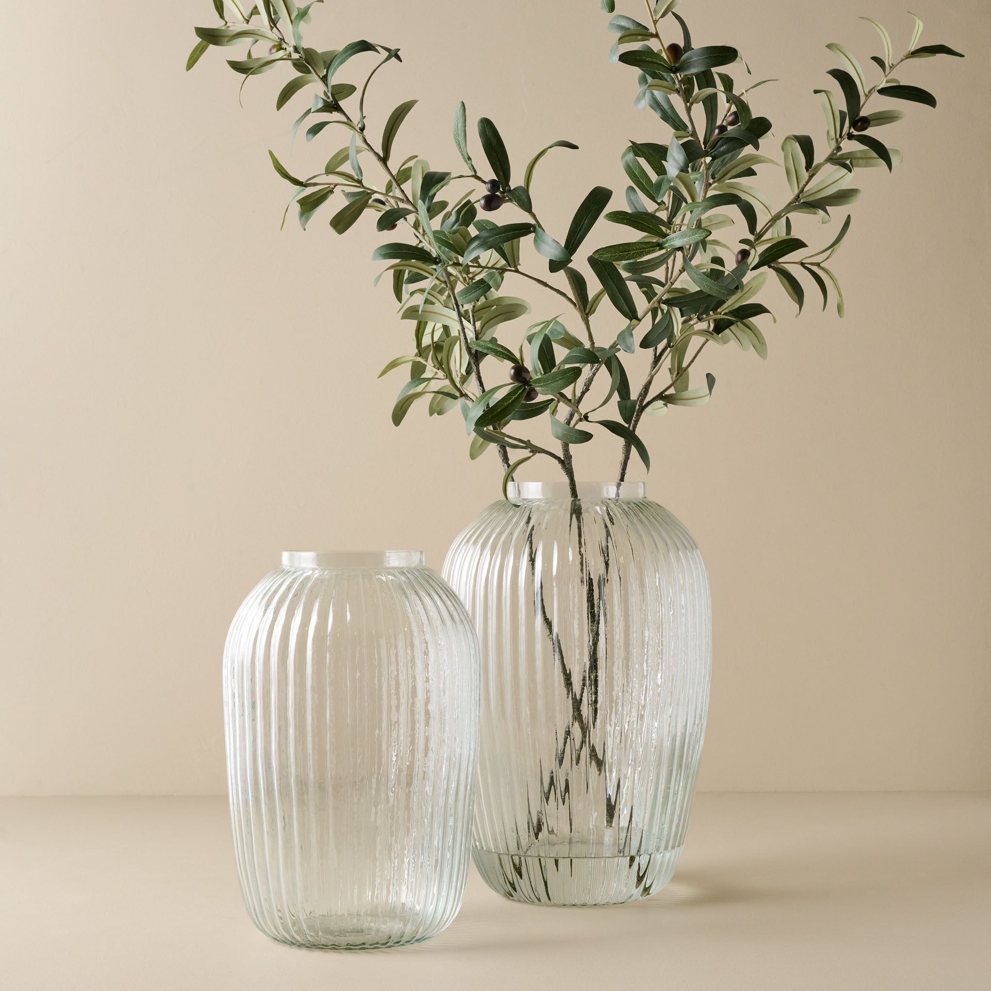 Short and Tall Korenne Ribbed Glass Vase shown with olive plant On sale with items ranging from $21.24 to $25.49, discounted from $36.00 to $42.00