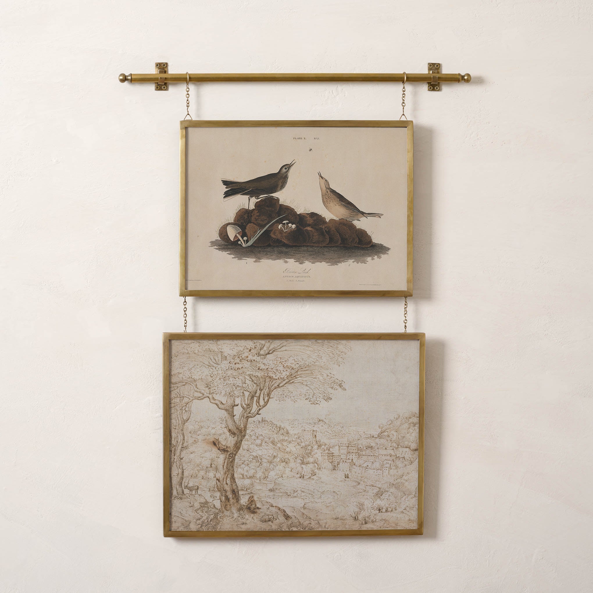 Colleen Brass Rail Double Picture Frame with a print of birds and a forest