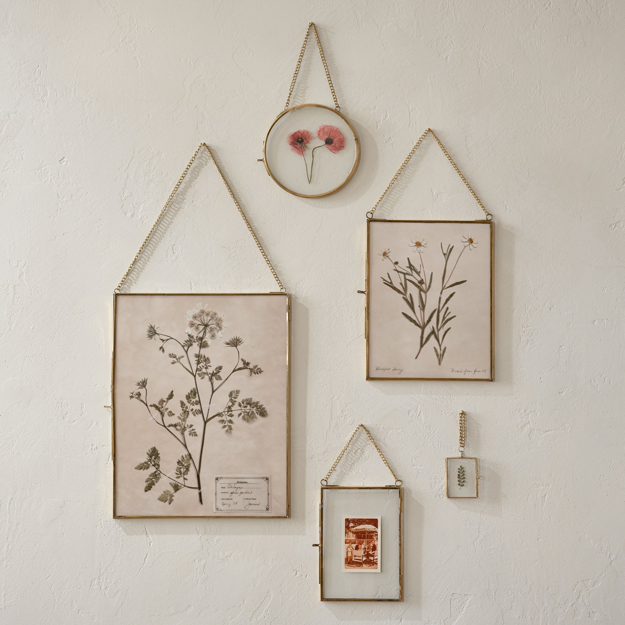 Josie Hanging Brass Photo Frames shown on wall Items range from $14.00 to $34.00