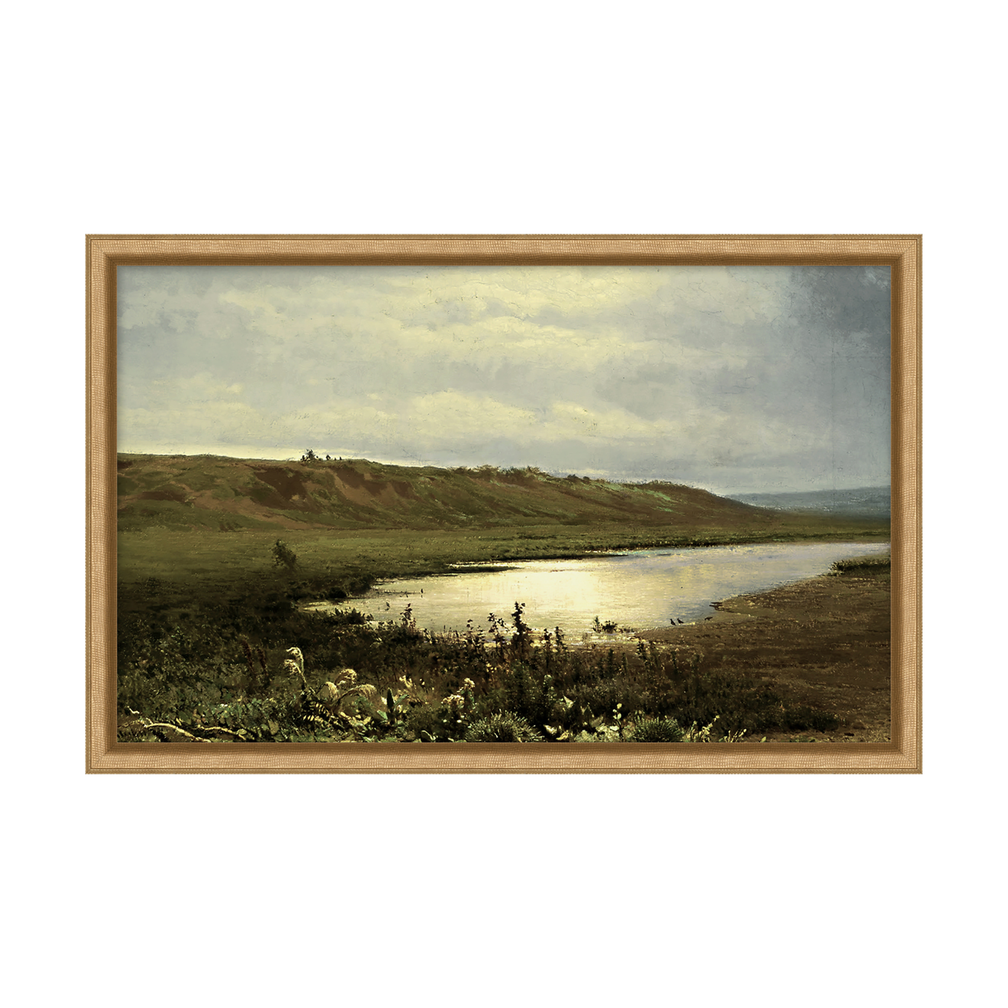 Peaceful Marsh