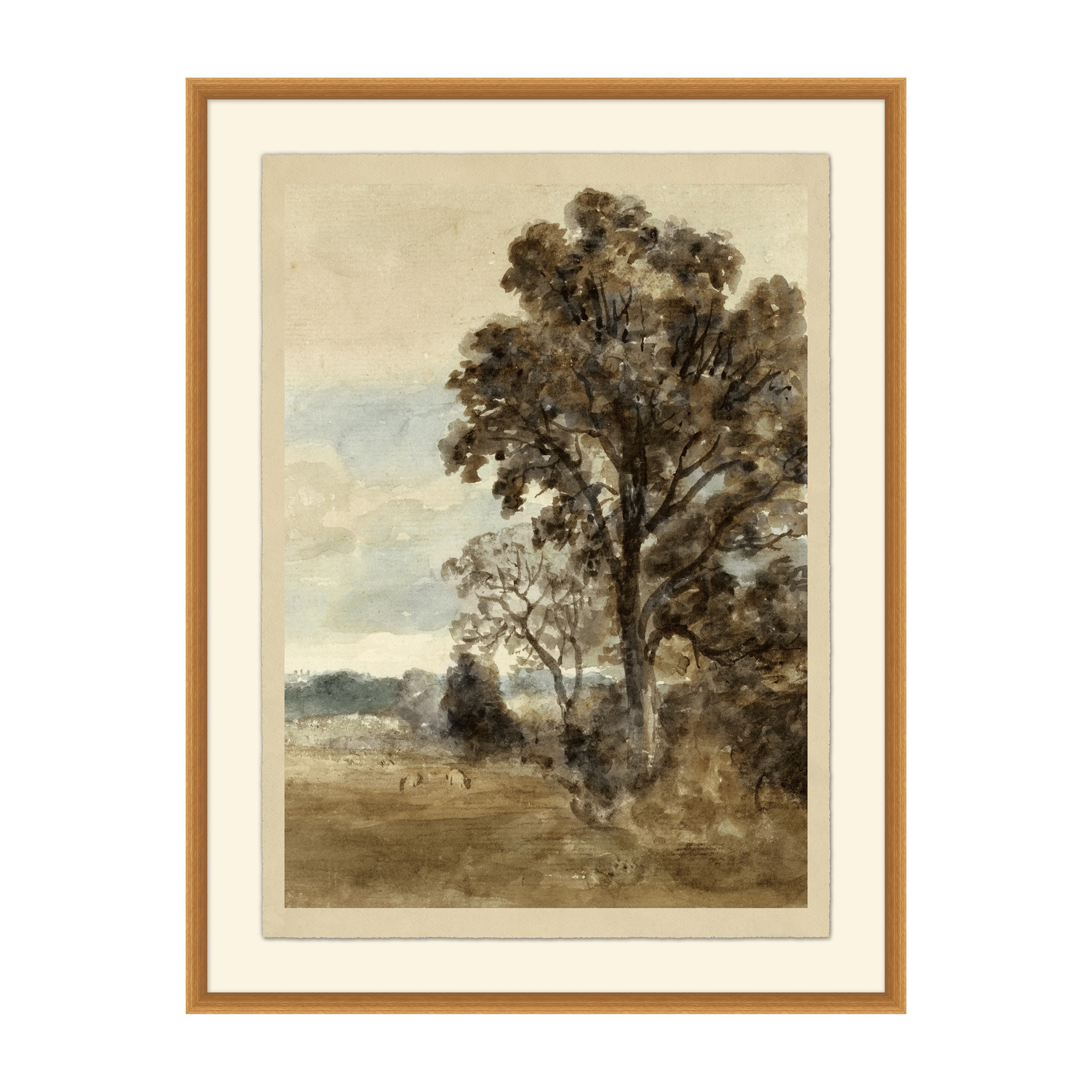 Maple Study