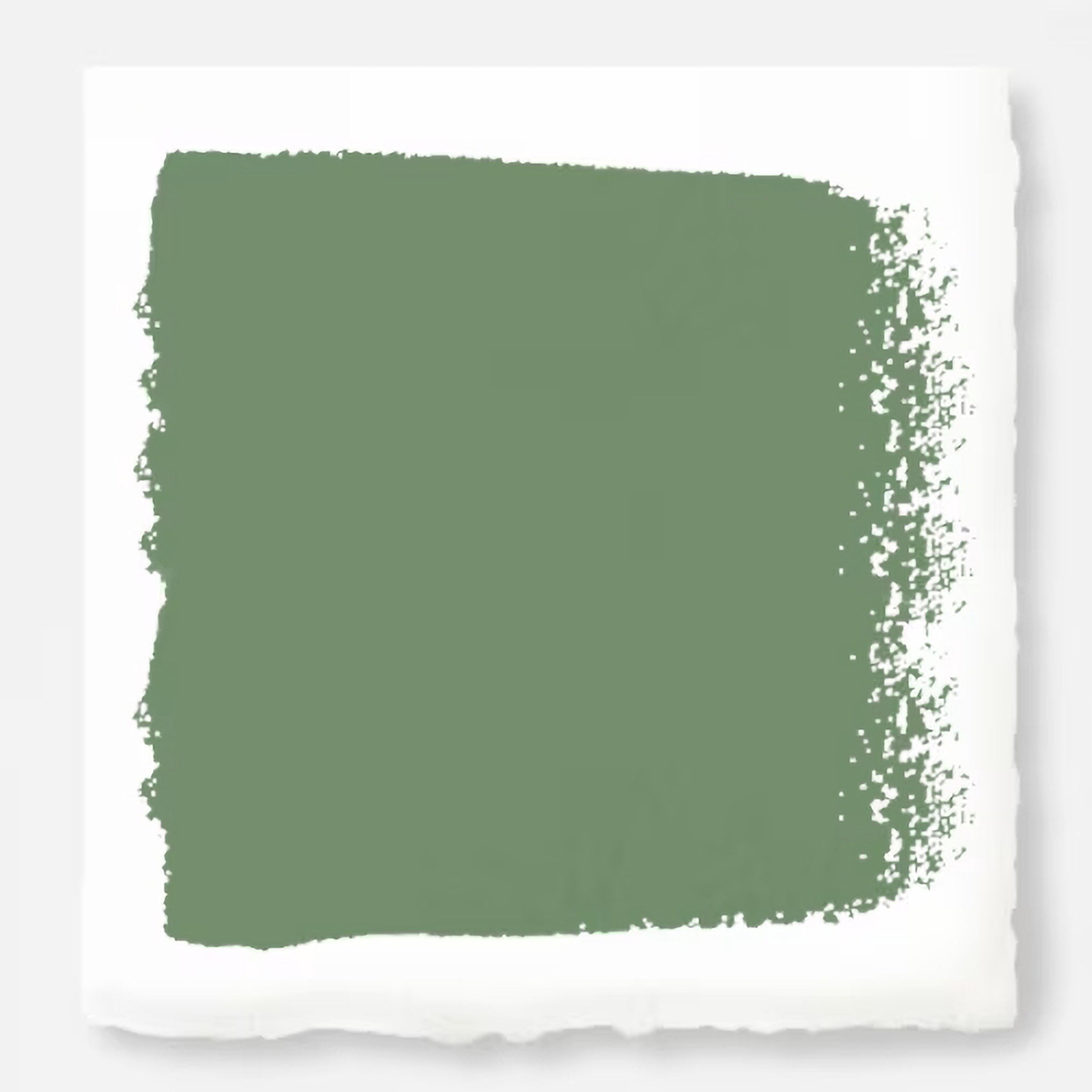 Bold and crisp green paint named magnolia green