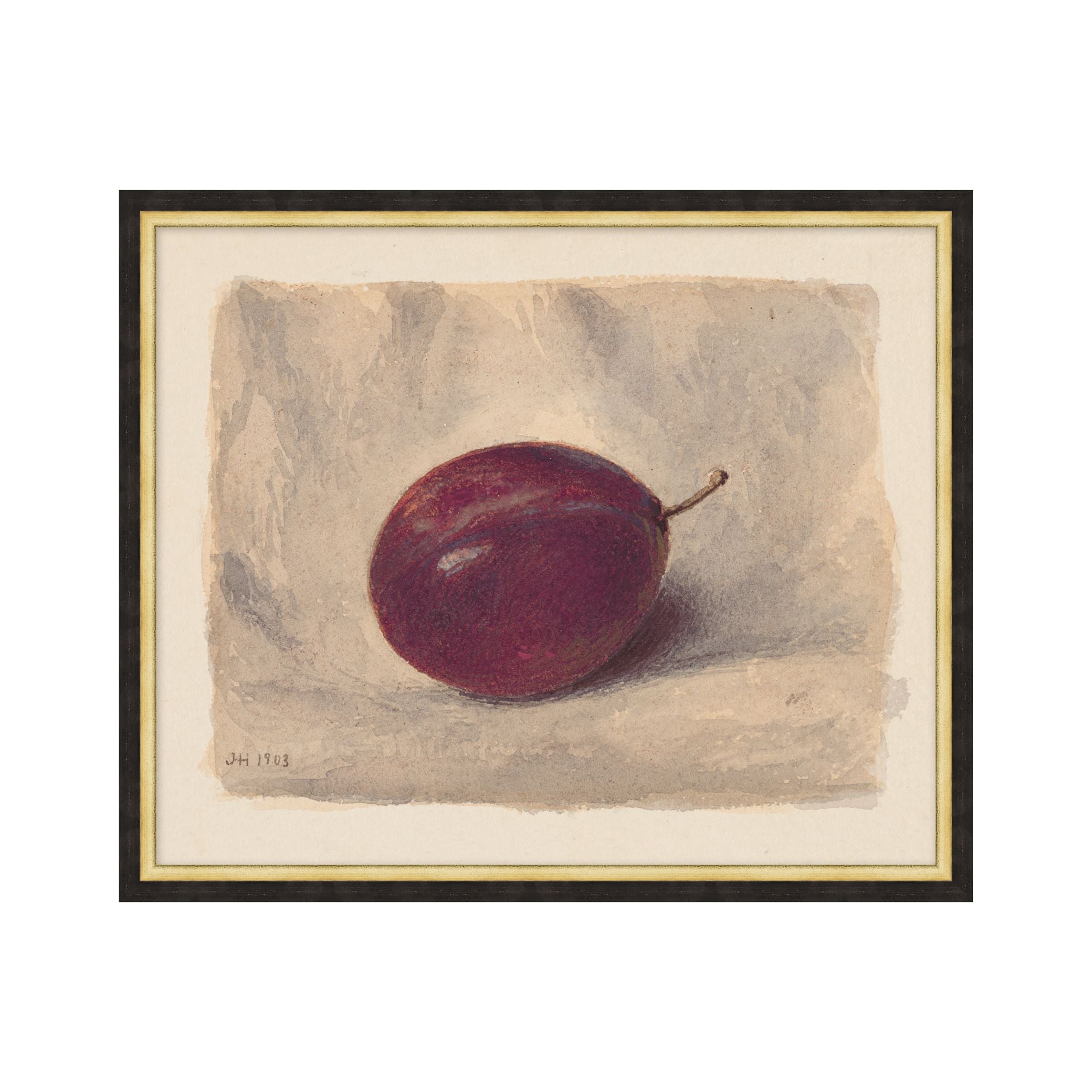 Vintage Plum Still Life