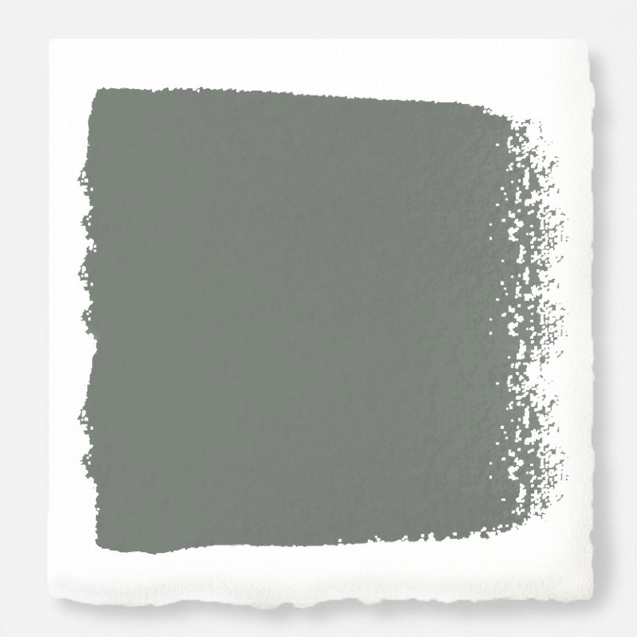 Mid-tone sage green blended with earthy gray paint named sage stem