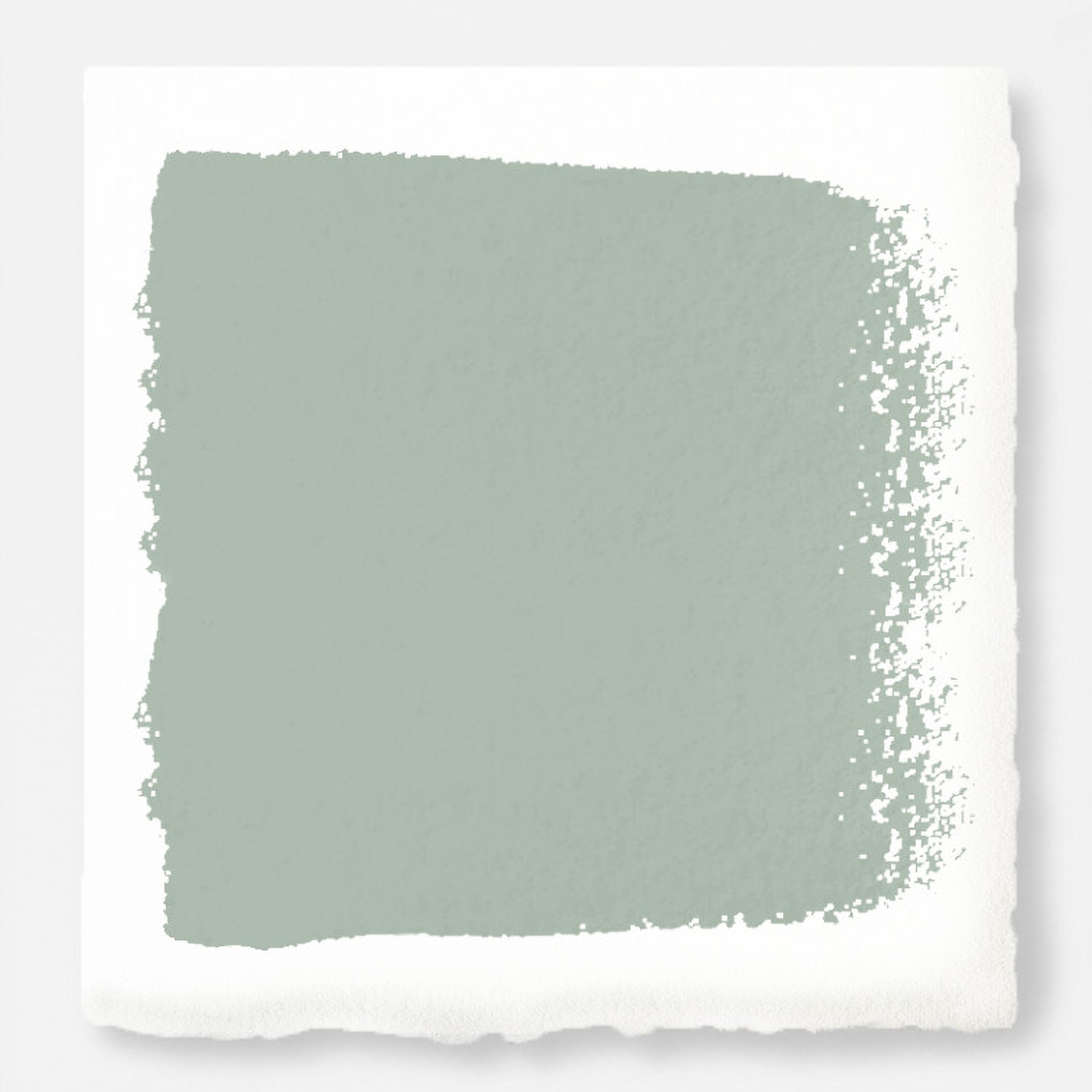 Creamy mint green paint named freshly cut stems