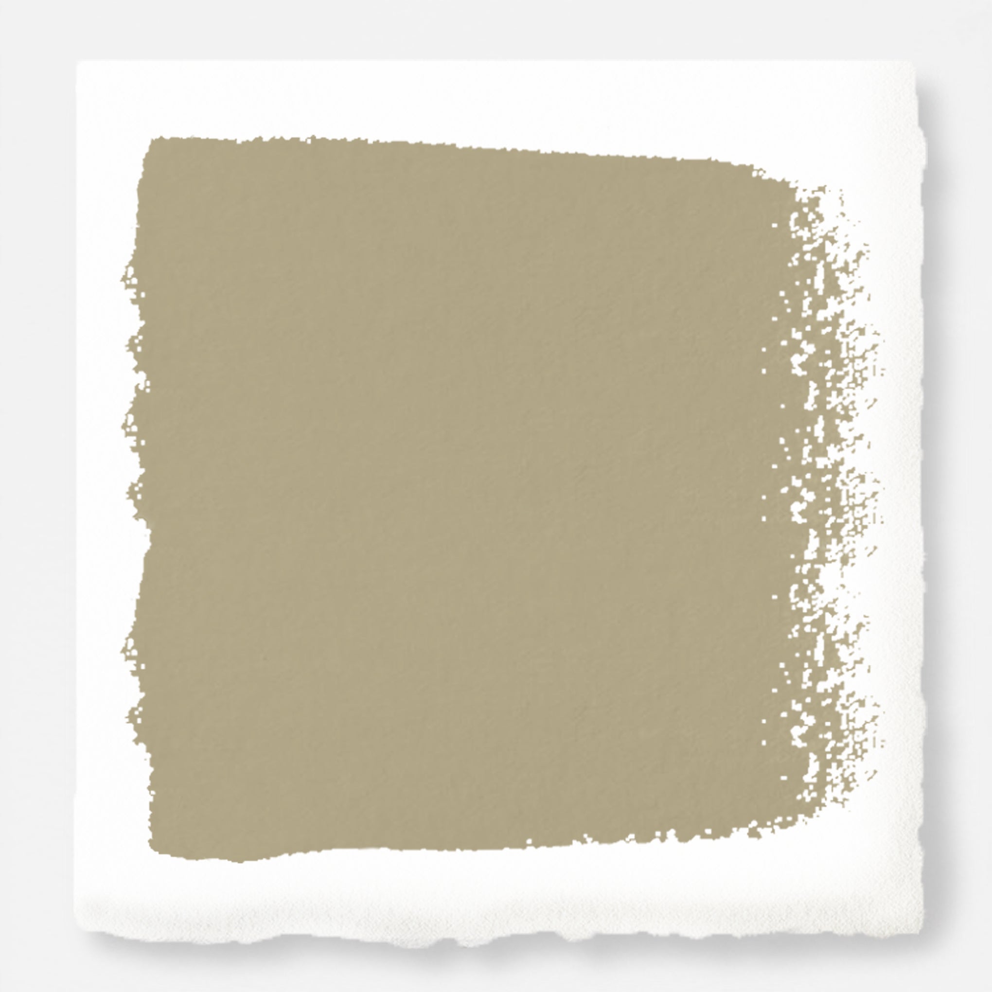 A warm, sun-washed green paint named juniper tree