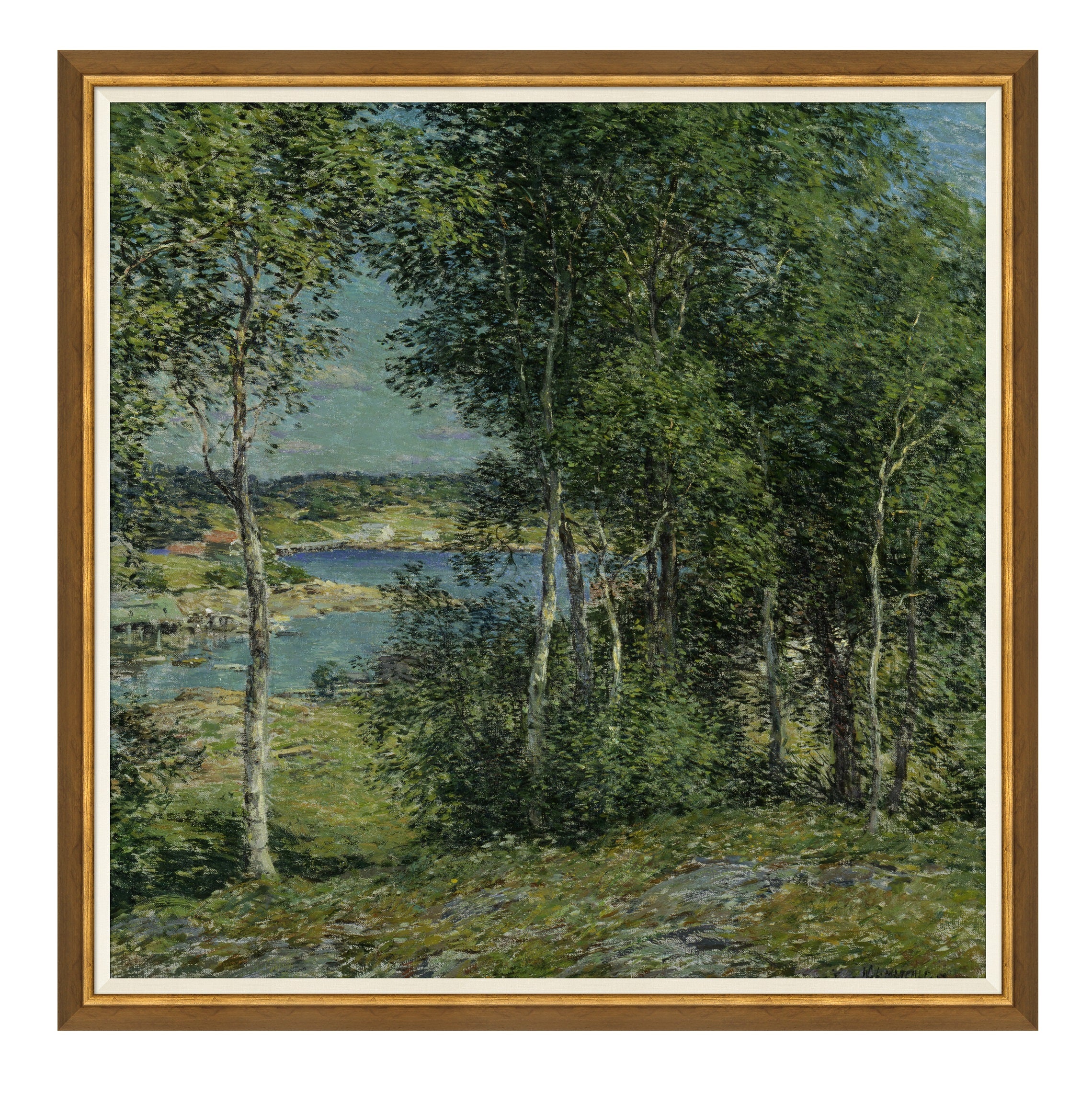 A Family of Birches $600.00