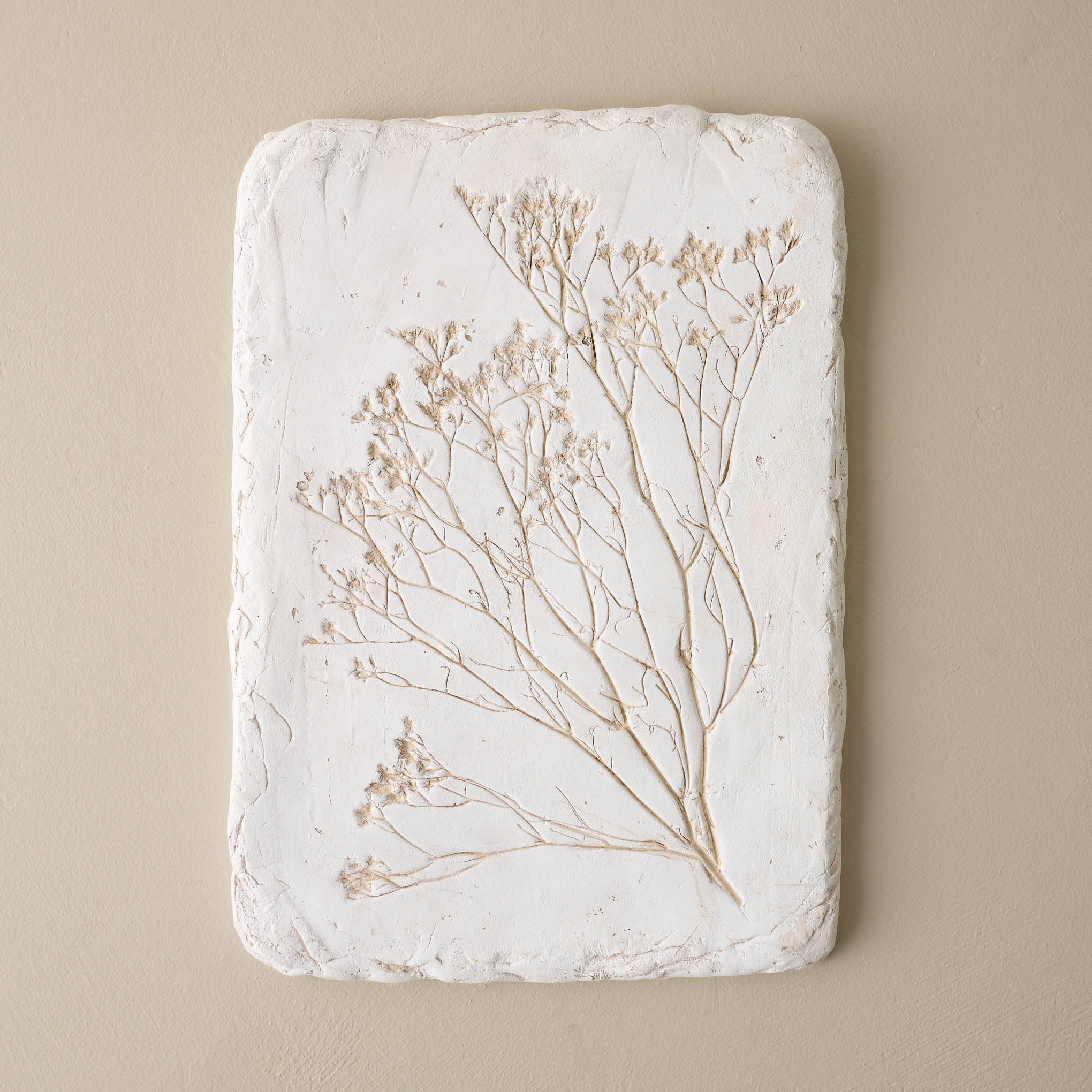 Pressed Flower Plaque - branches On sale with items ranging from $22.80 to $28.80, discounted from $38.00 to $48.00