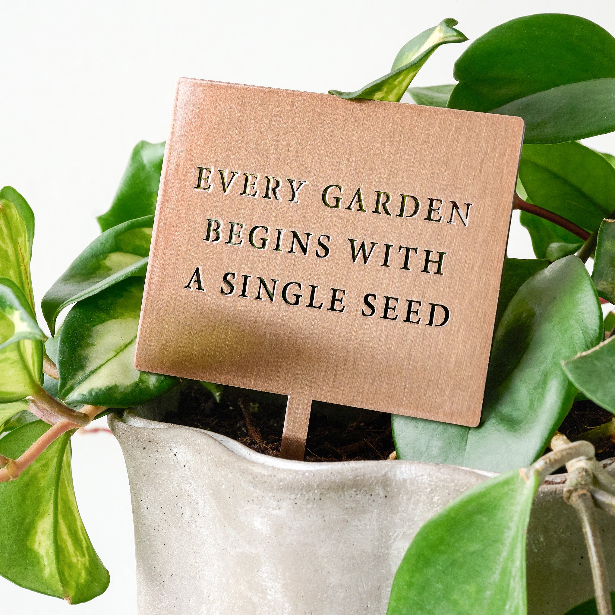 Single Seed Mini Garden Stake shown in plant $20.00