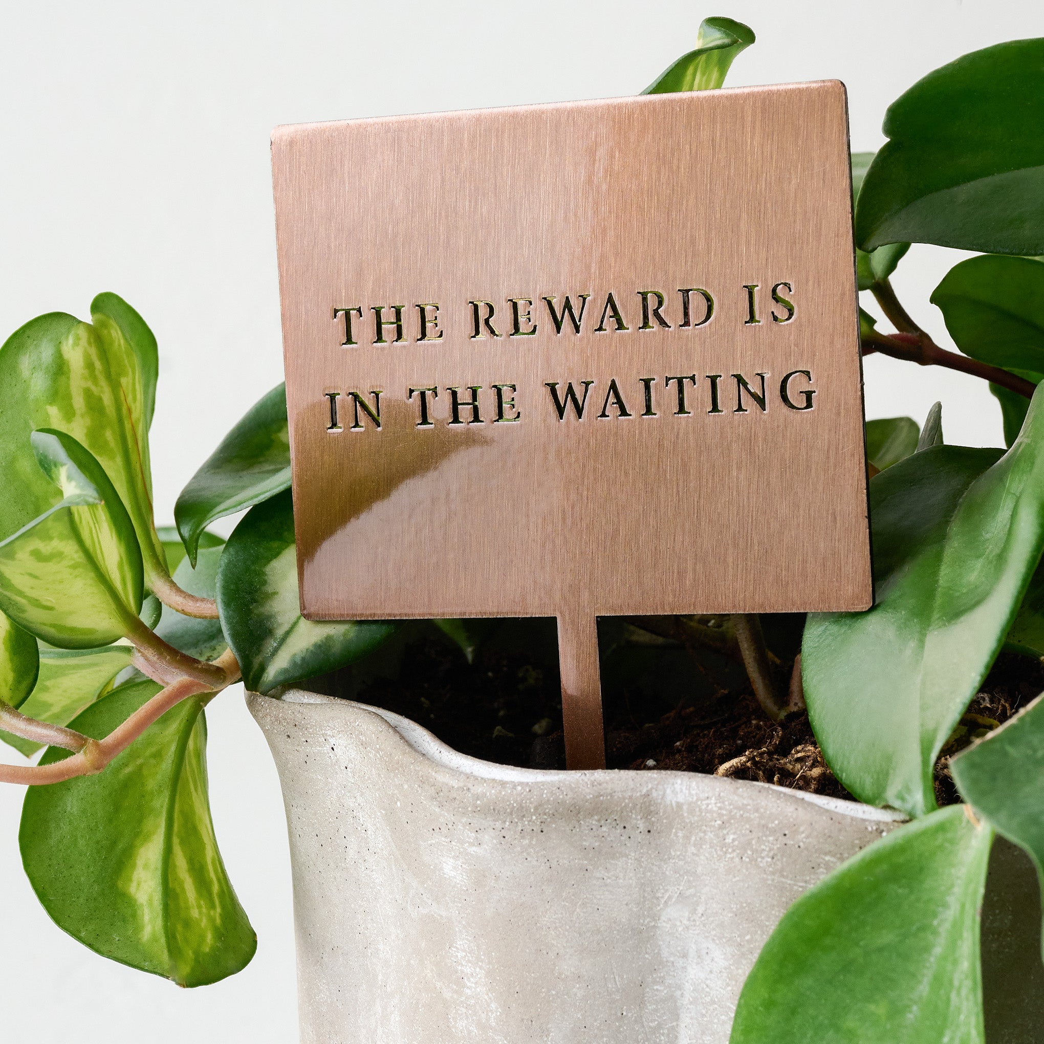 The Reward Mini Garden Stake shown in plant $20.00