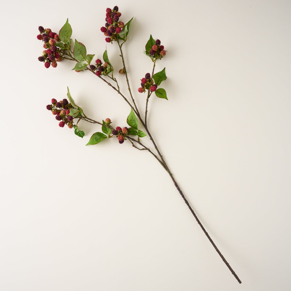 Blackberry Vine Stem $24.00