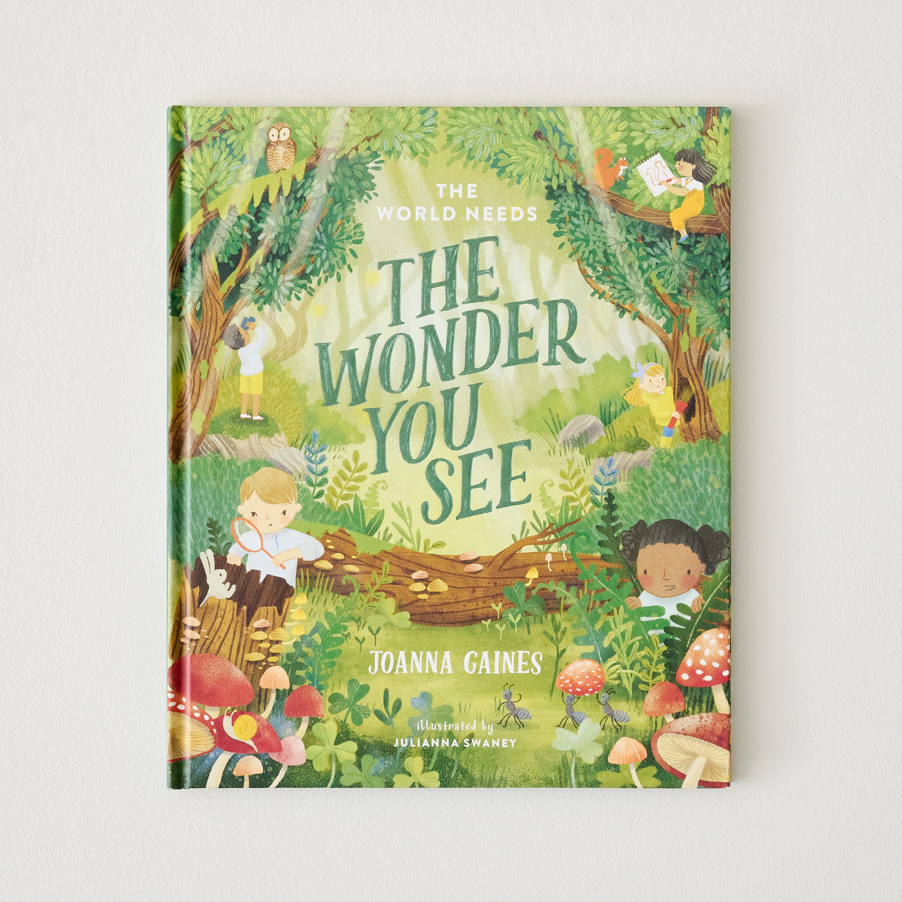 The World Needs the Wonder You See book cover $19.99