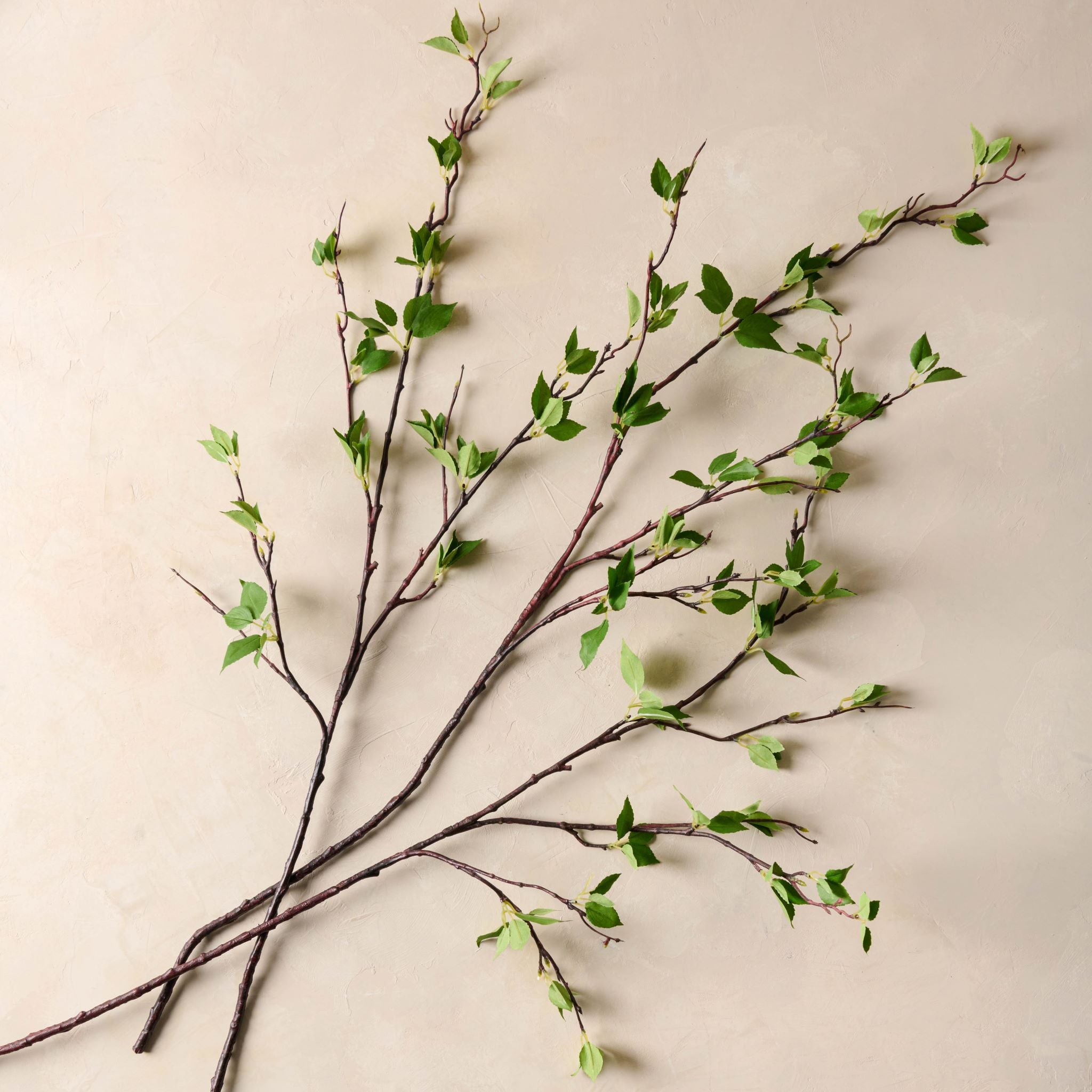 Magnolia Green Leaf Branch $16.00