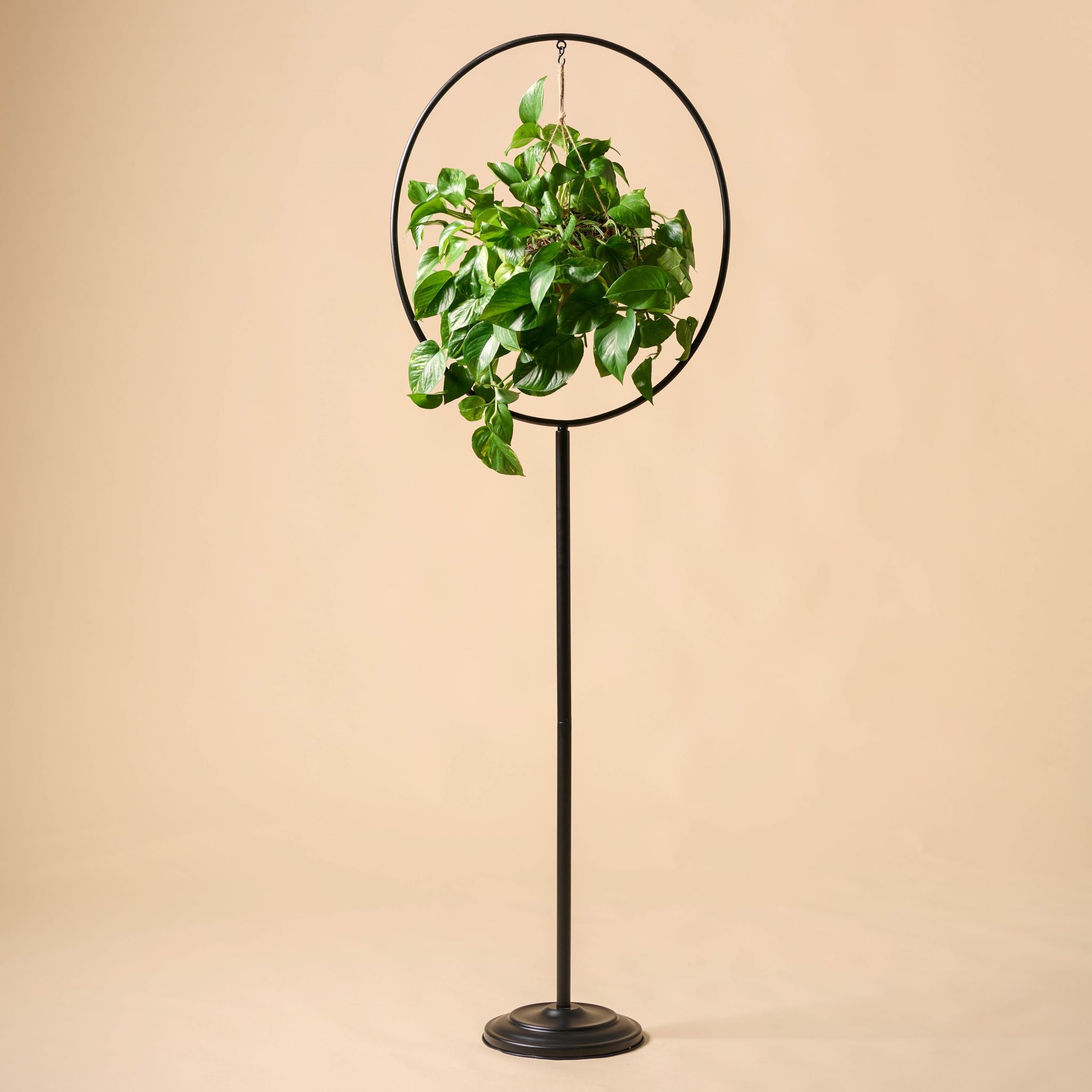 Hayden Plant Stand