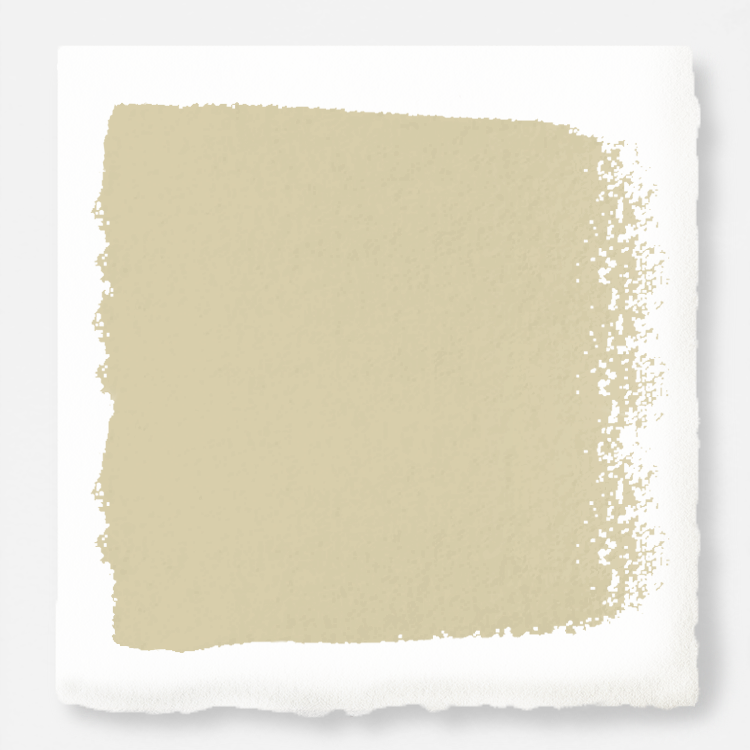 Cool beige dusted with hazel and cocoa interior paint