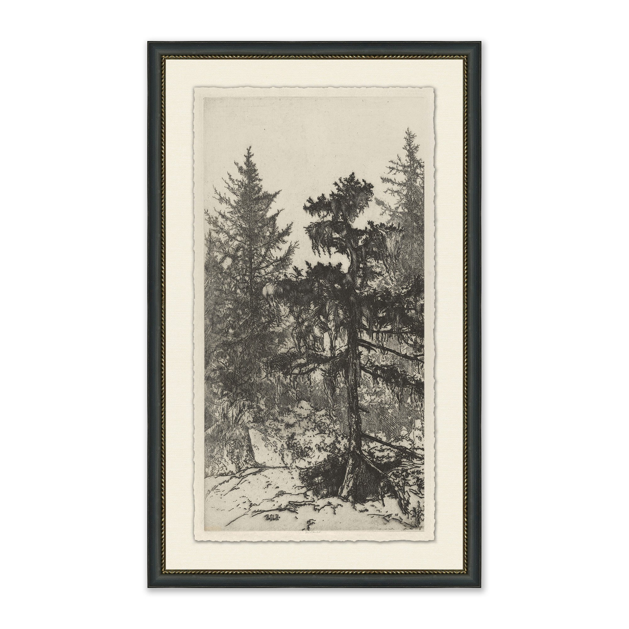 framed wall art sketch of tall trees in forest in black frame with cream mat