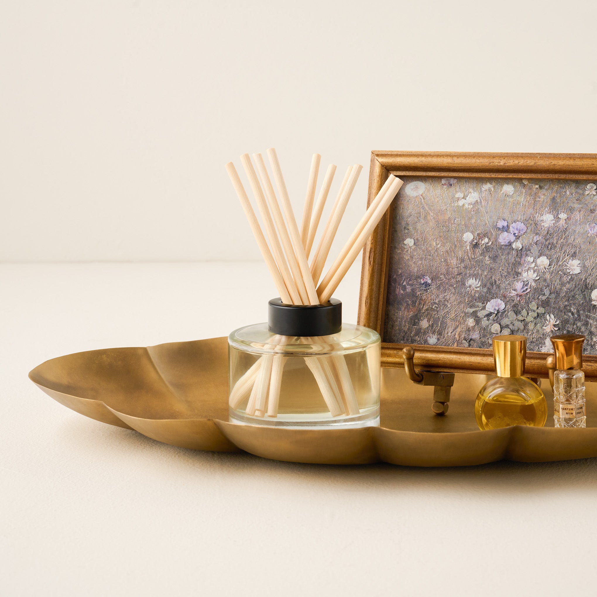 Decorative Objects New Arrivals Shop - Magnolia