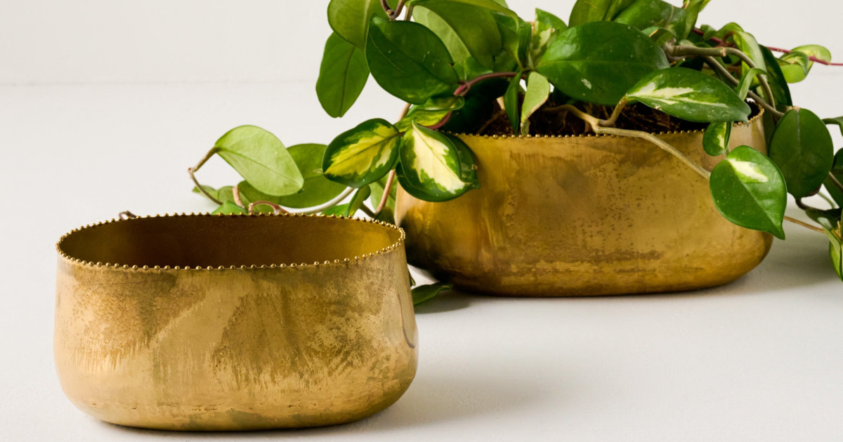 Oval Brass Planter