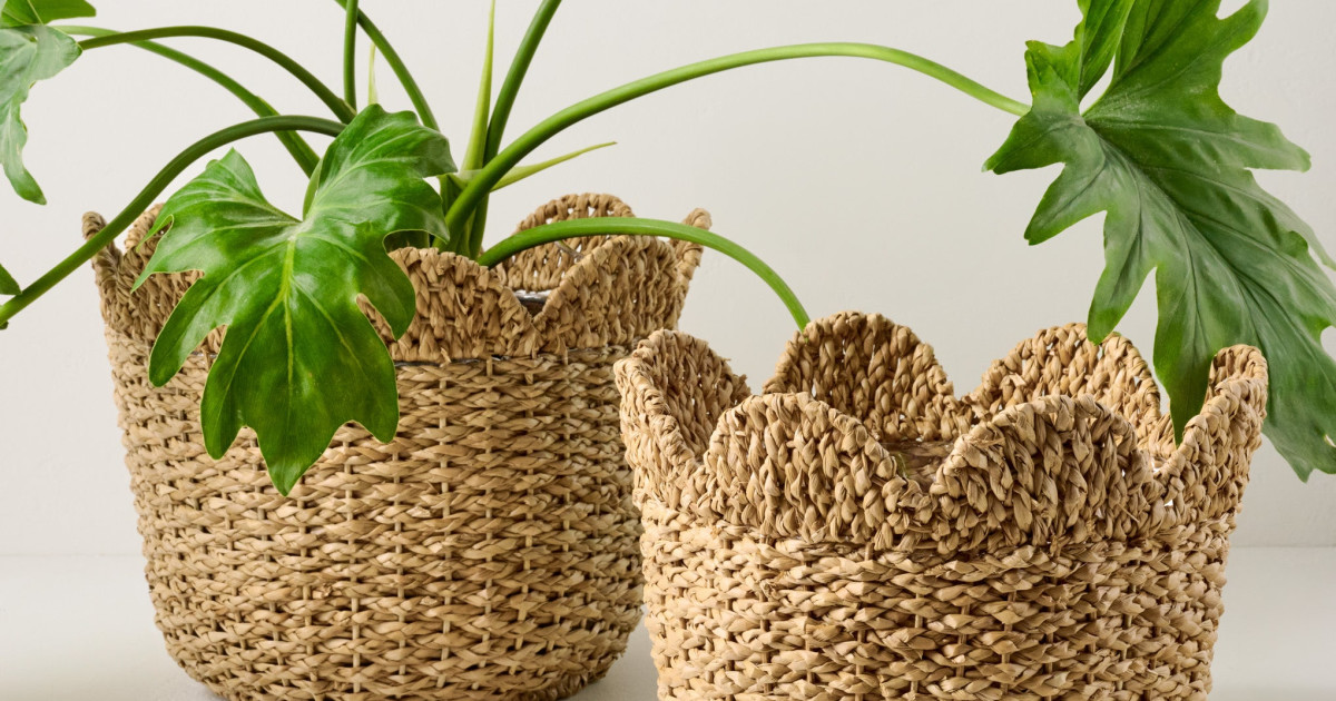 Solene Woven Scalloped Planter