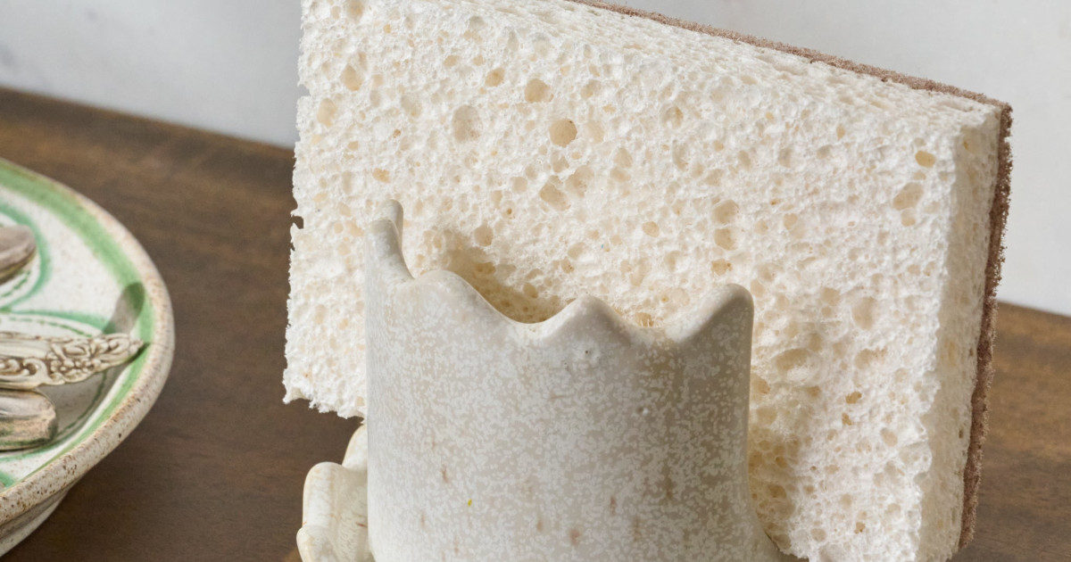French White Sponge Keeper