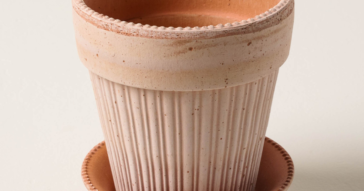 Large Terracotta Dotted Bergs Pot