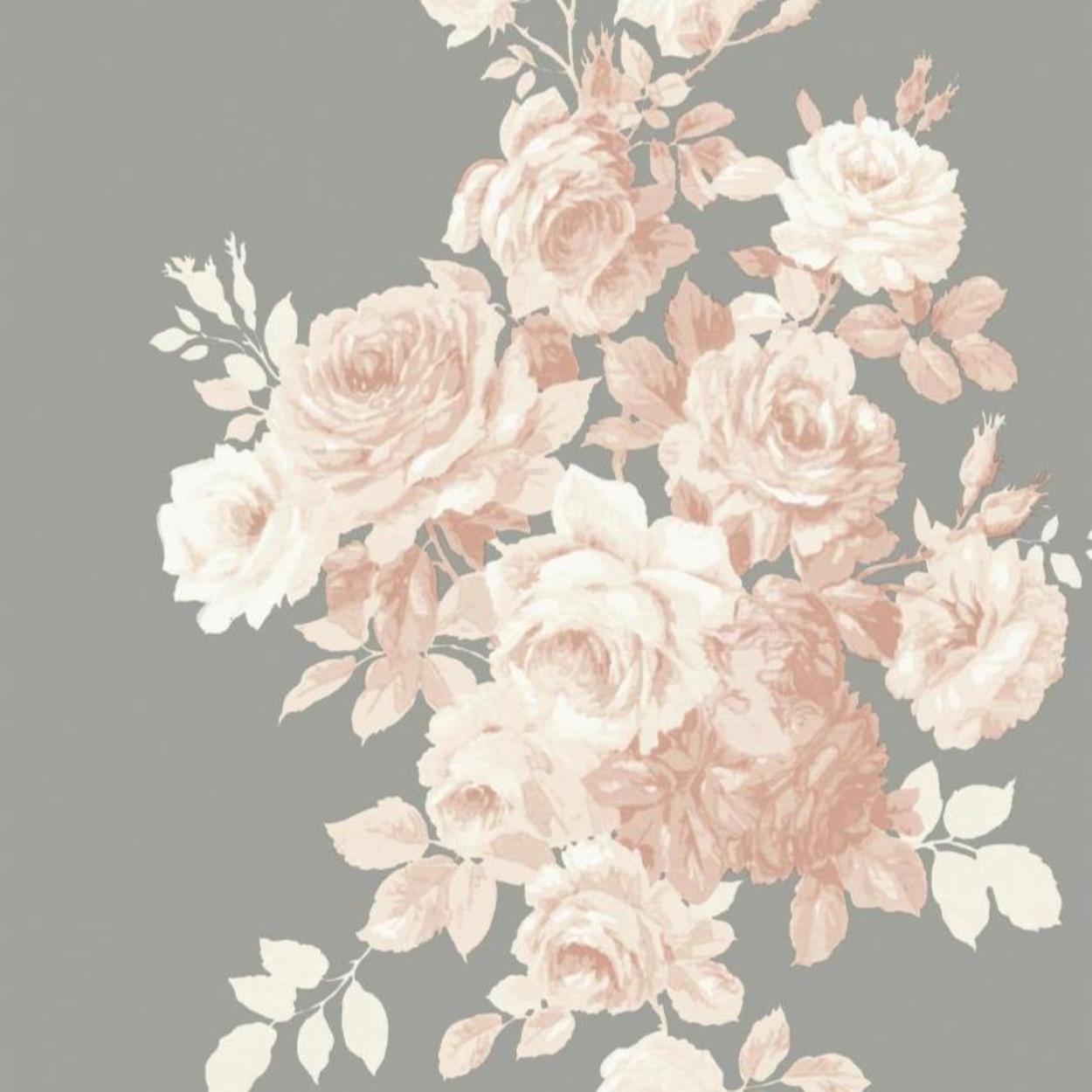 Tea Rose Wallpaper - Magnolia